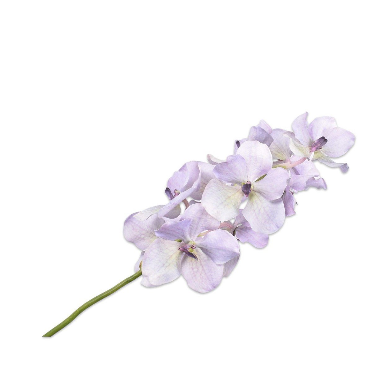 Silkka - Vanda Lilac 75 cm