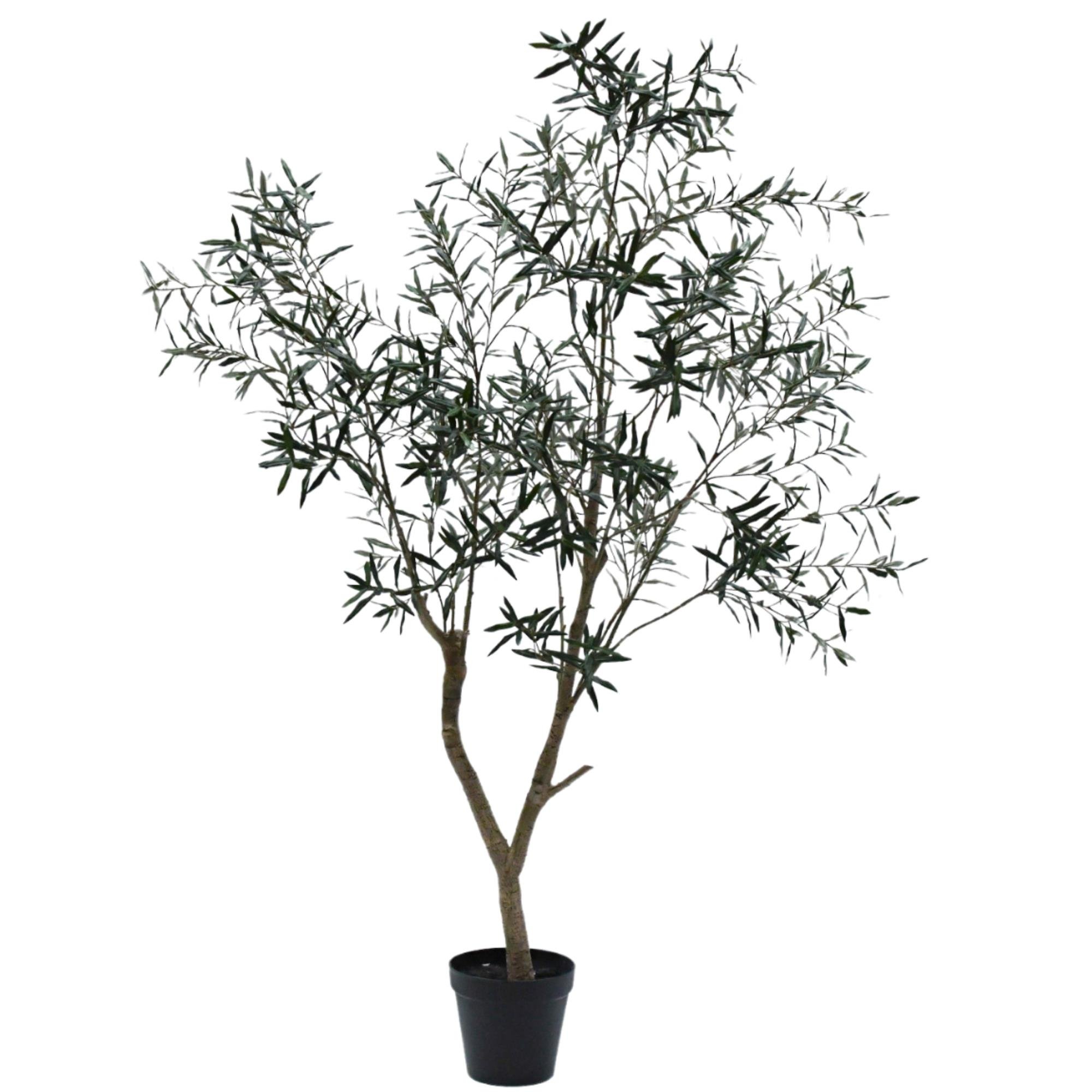 Silkka - Zeytin Ağacı 240 Cm