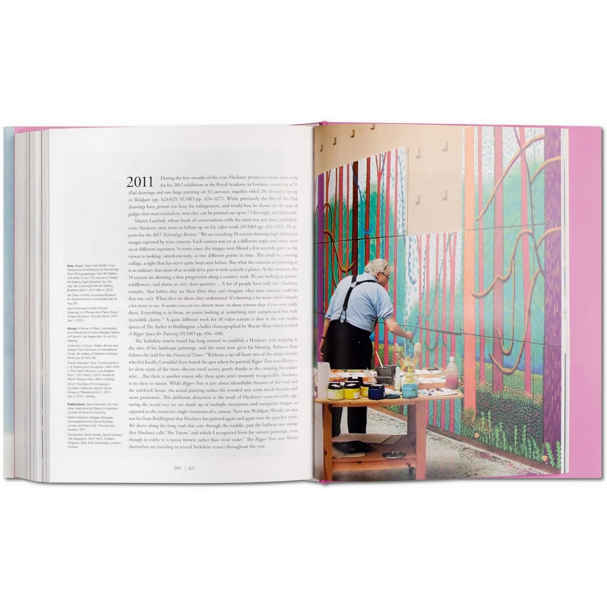 Taschen - David Hockney A Bigger Kitap