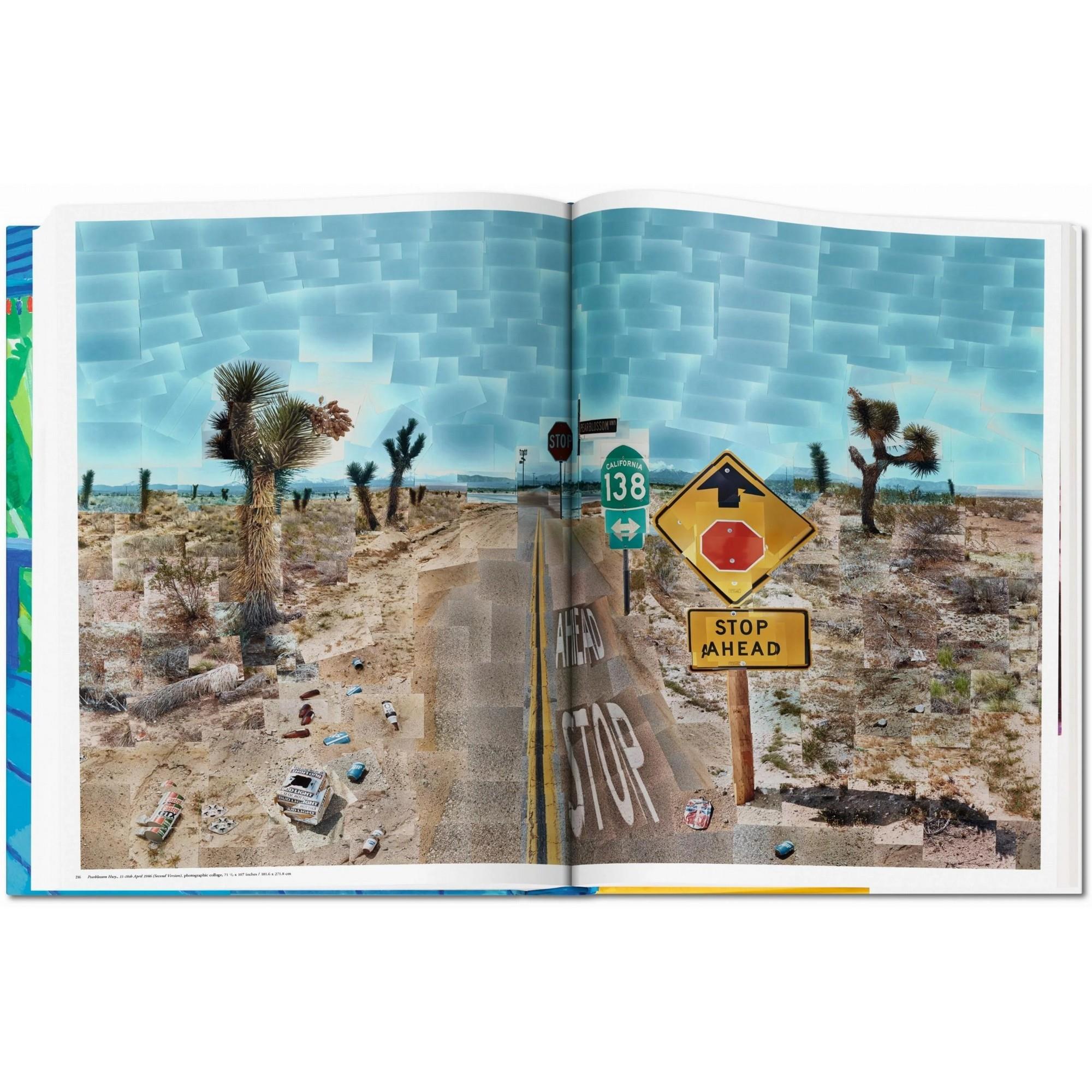Taschen - David Hockney A Bigger Kitap