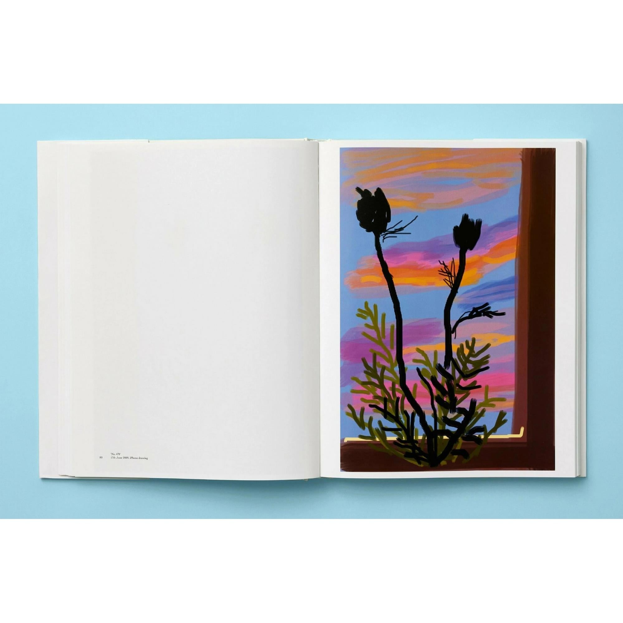 Taschen - David Hockney My Window Kitap