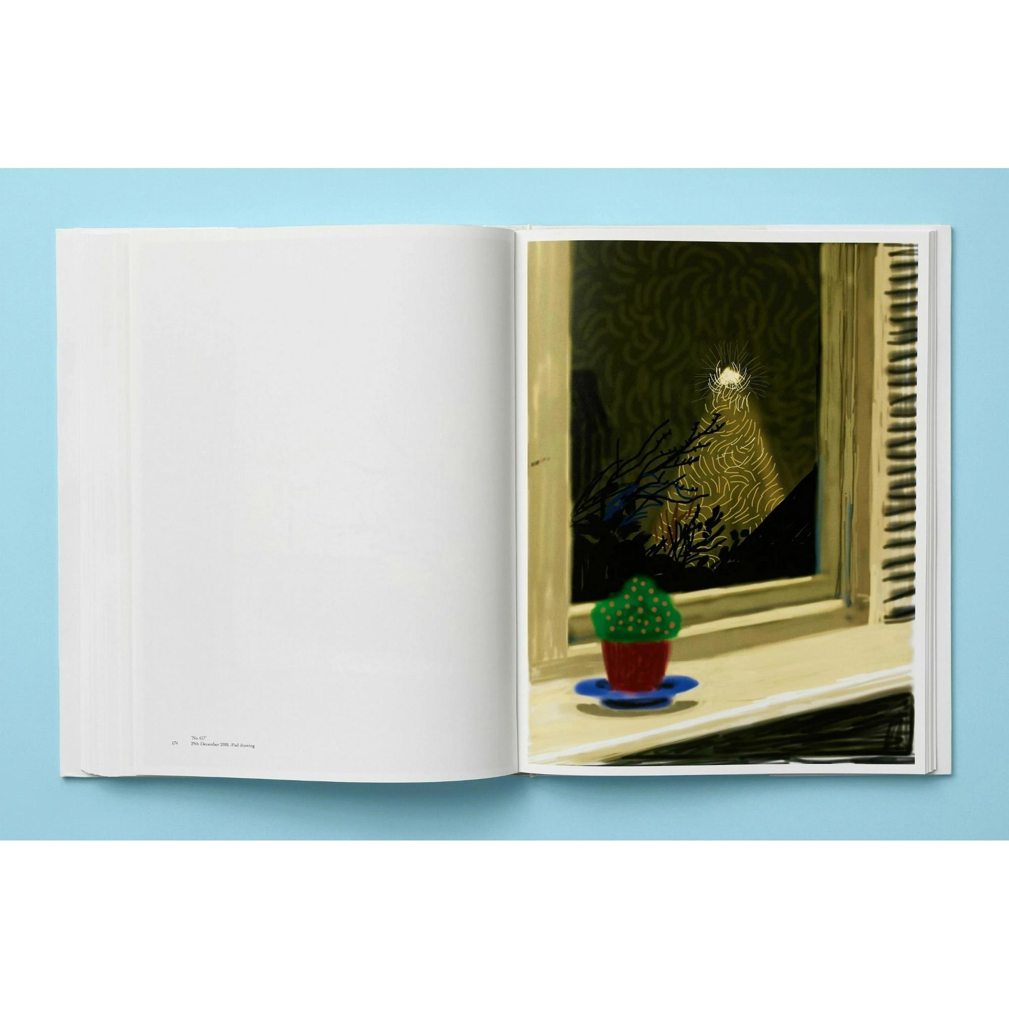 Taschen - David Hockney My Window Kitap