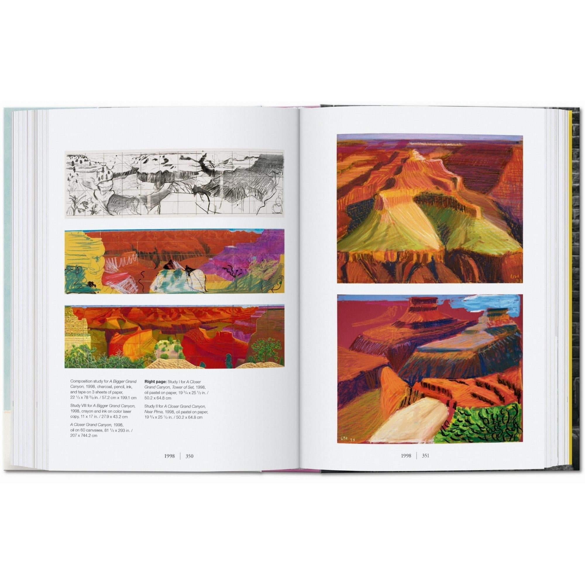 Taschen - Hockney 45TH. ED. Kitap
