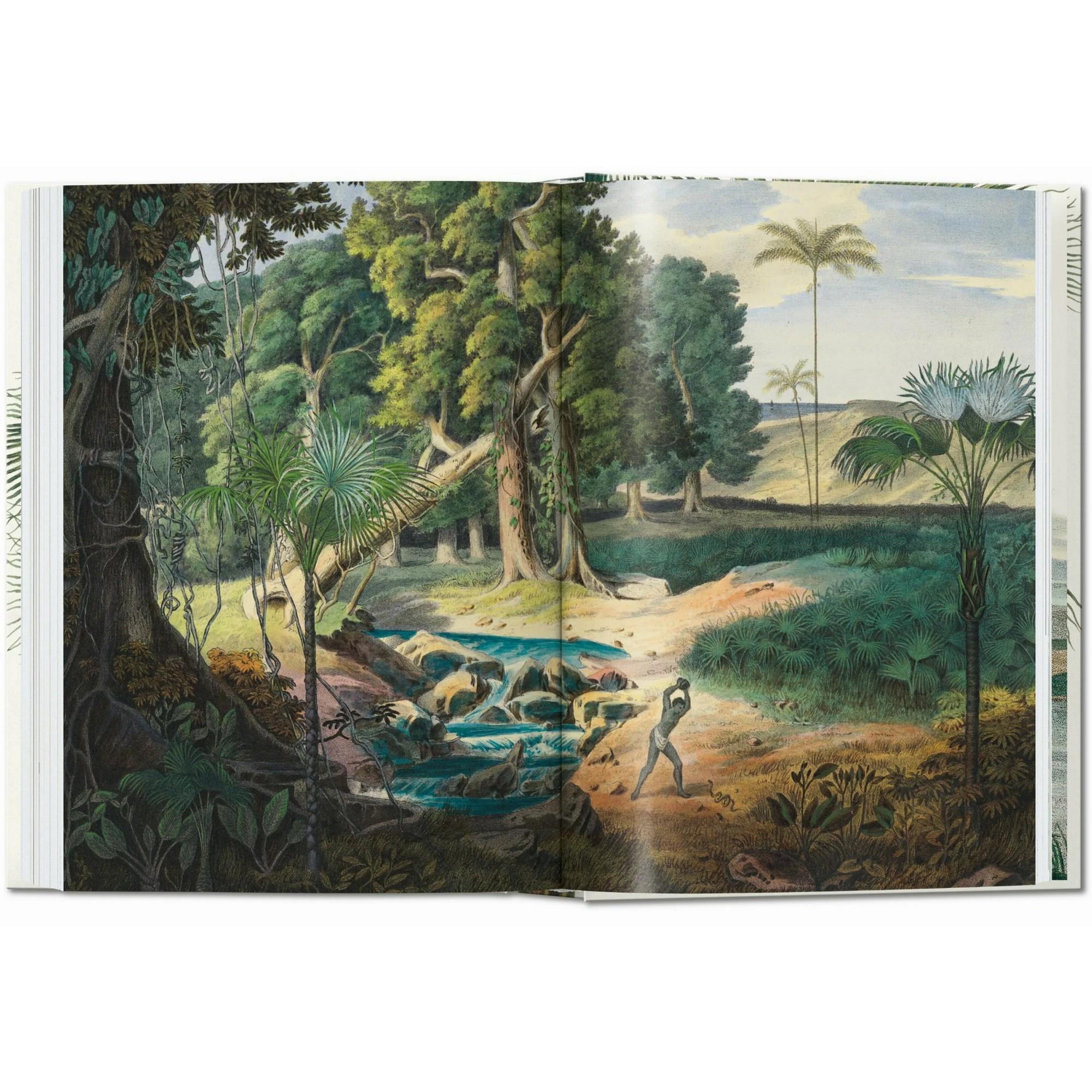 Taschen - Martius The Book Of Palms 45th Ed