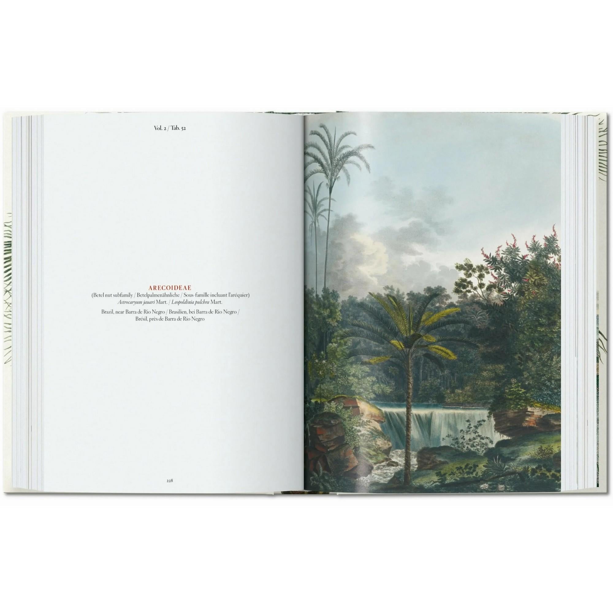 Taschen - Martius The Book Of Palms 45th Ed