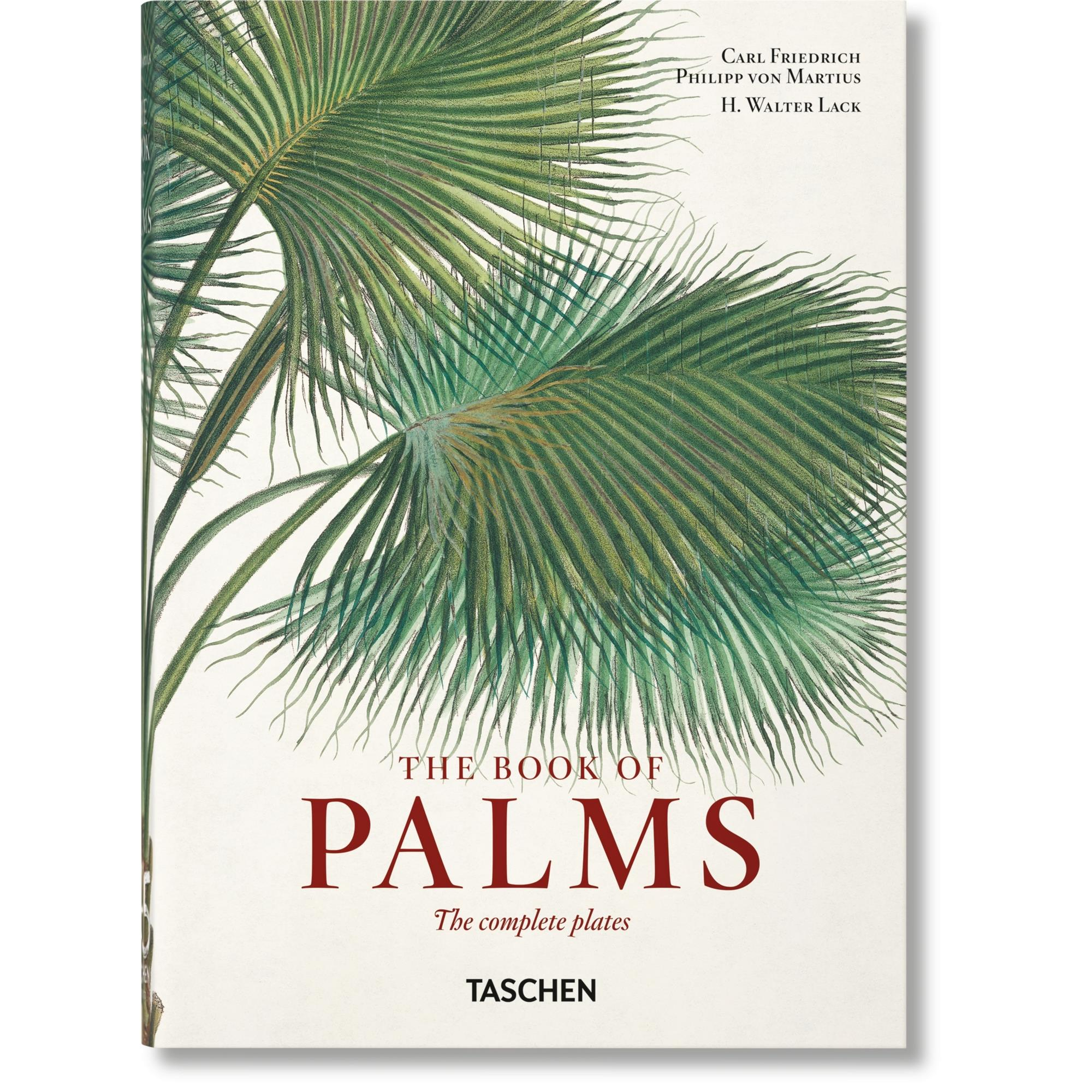 Taschen - Martius The Book Of Palms 45th Ed