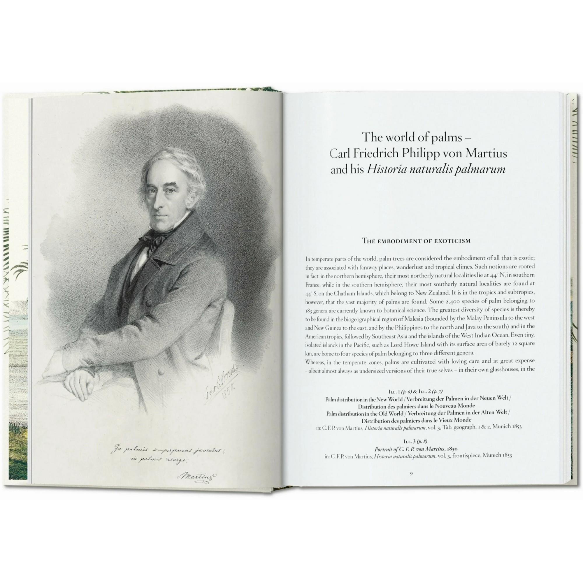 Taschen - Martius The Book Of Palms 45th Ed