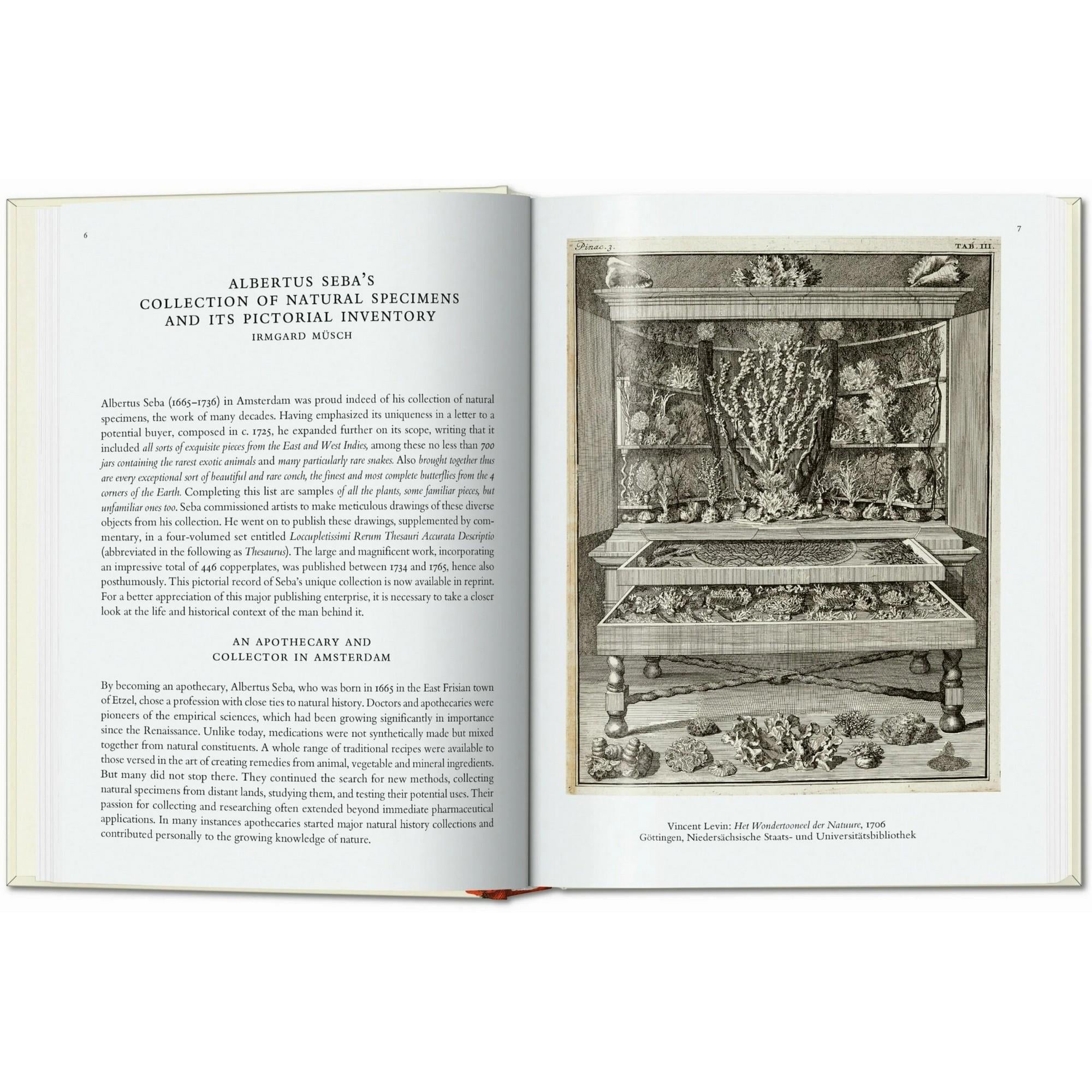 Taschen - Seba Cabinet Of Natural Curiosities 40th Ed