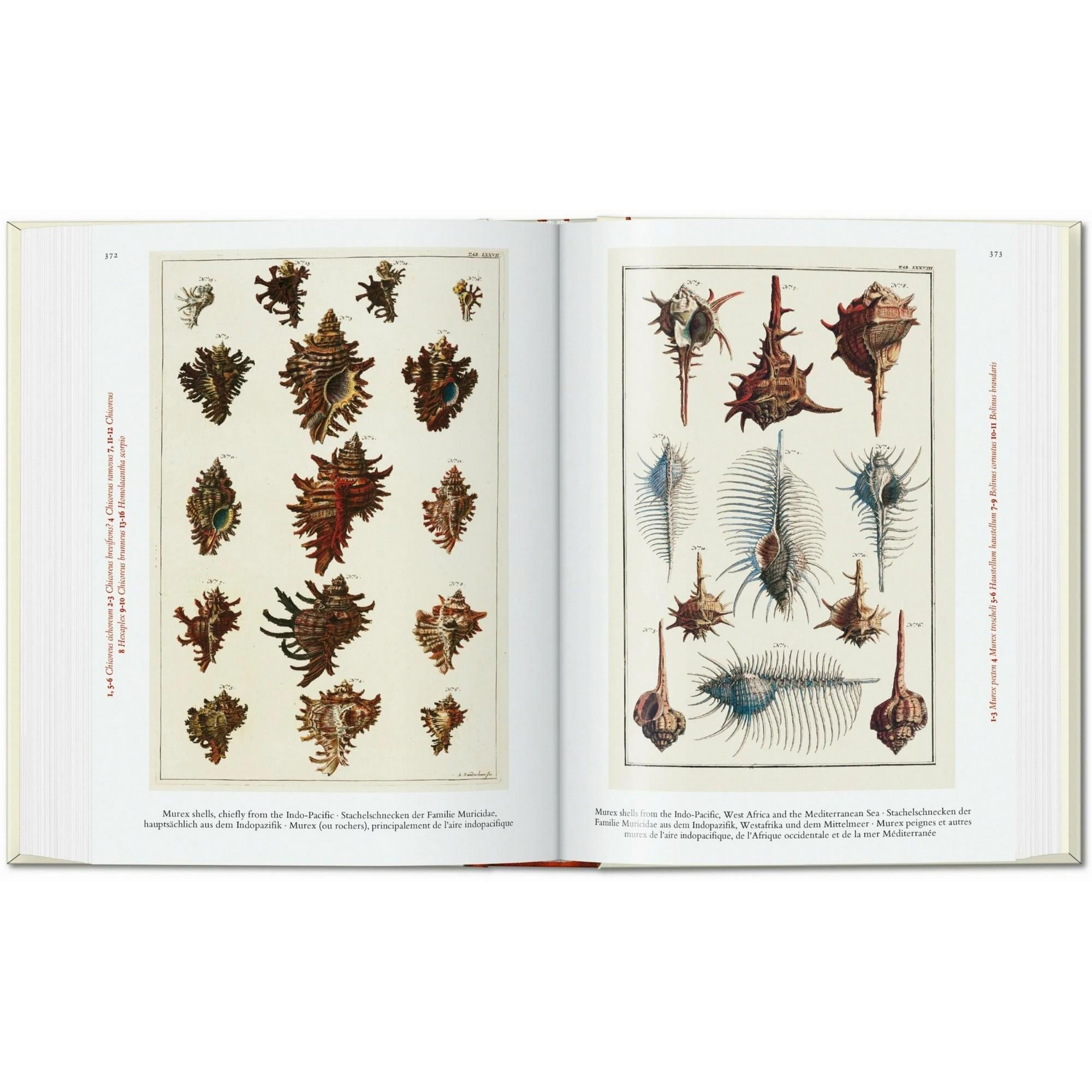 Taschen - Seba Cabinet Of Natural Curiosities 40th Ed