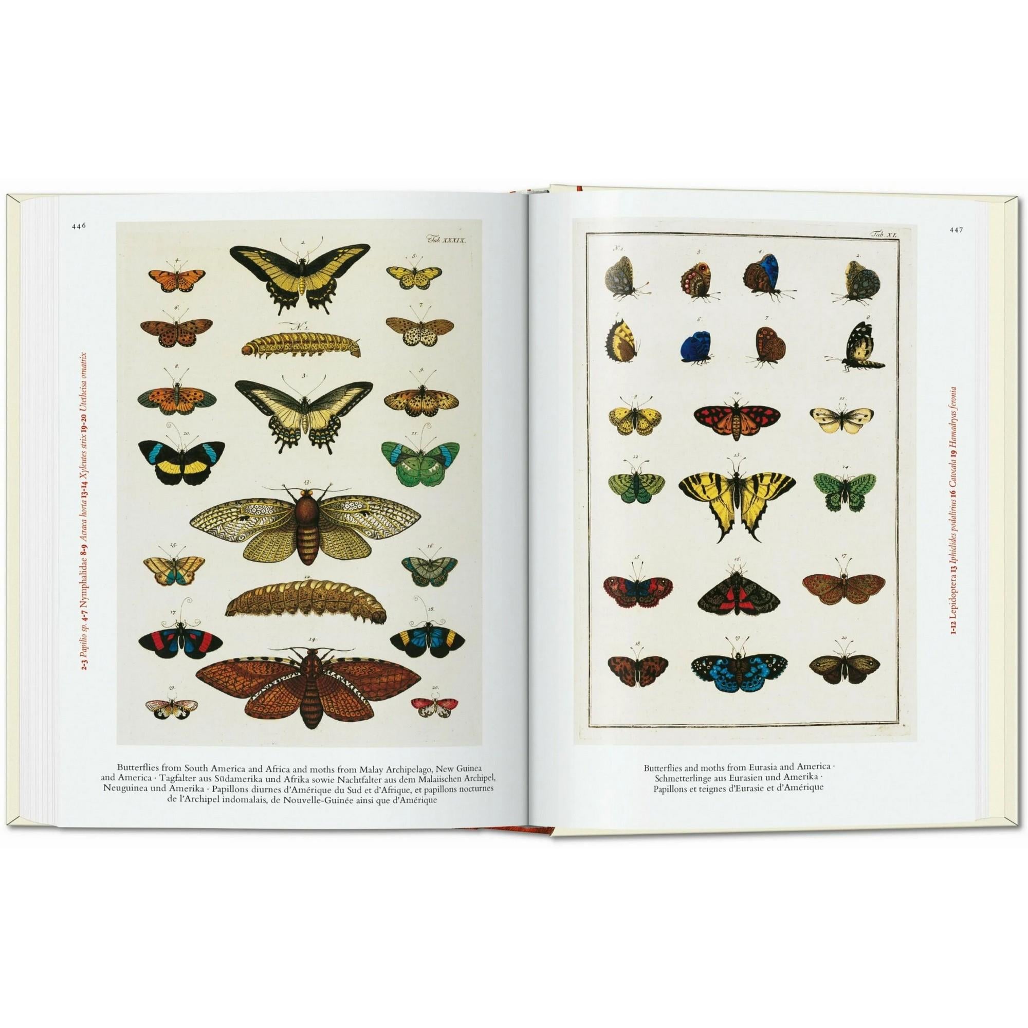 Taschen - Seba Cabinet Of Natural Curiosities 40th Ed