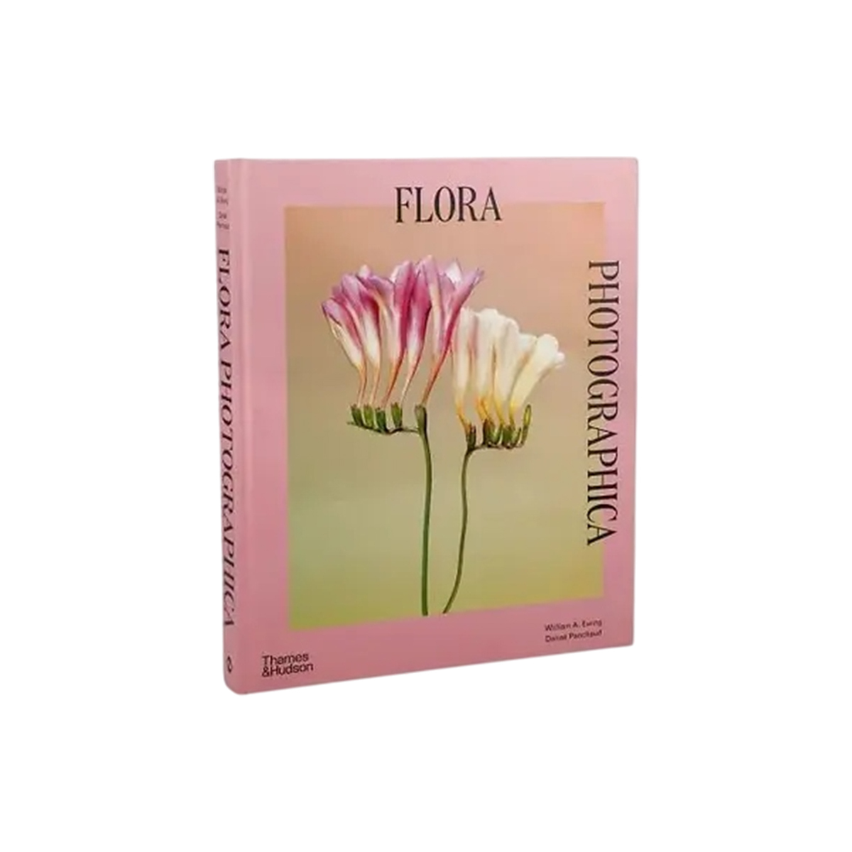 Thames & Hudson - Flora Photographica