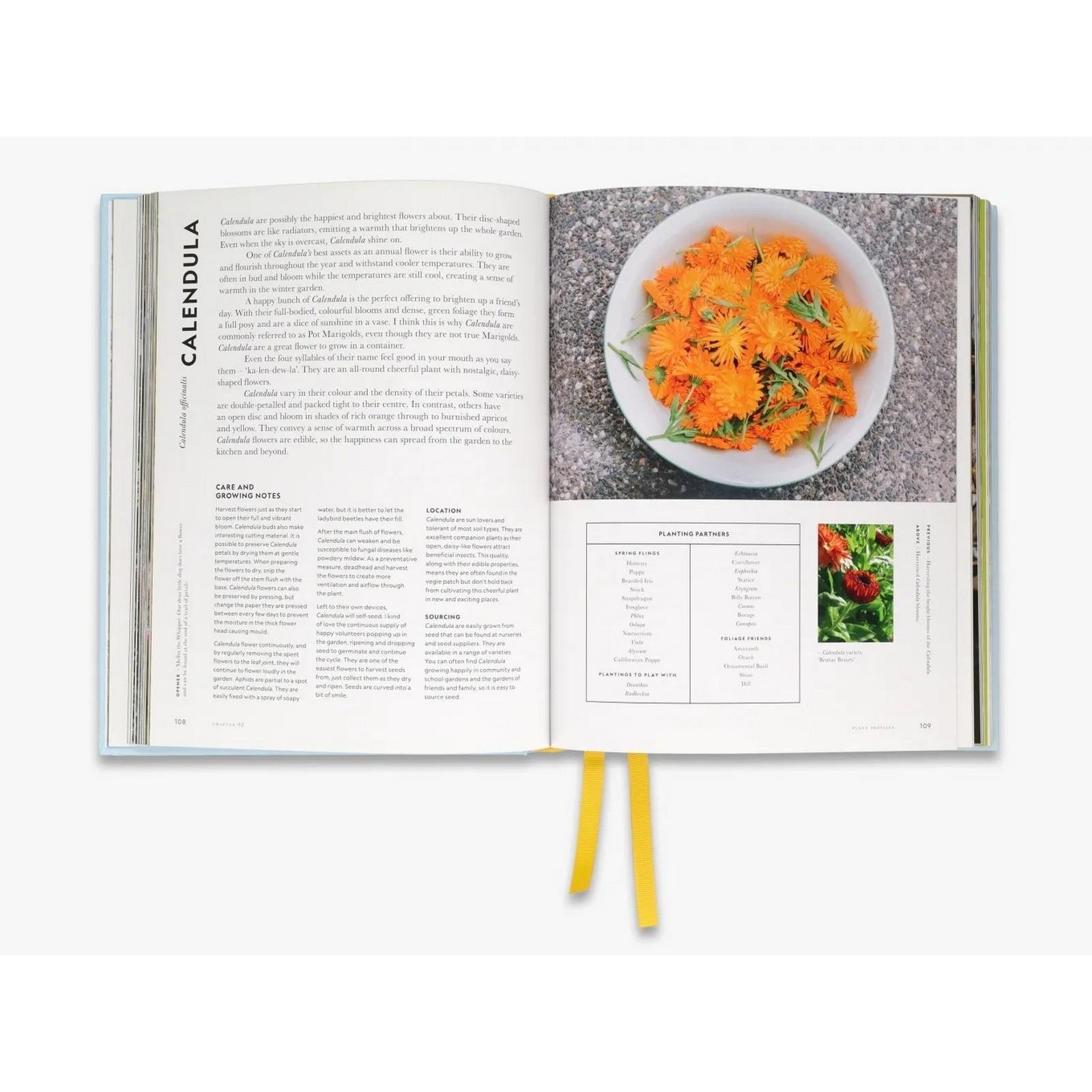 Thames & Hudson - Super Bloom Kitap