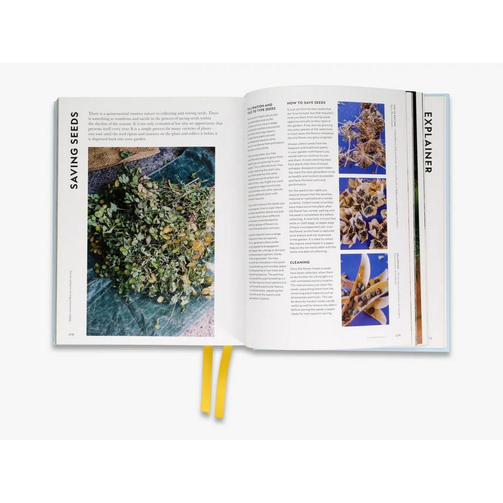 Thames & Hudson - Super Bloom Kitap