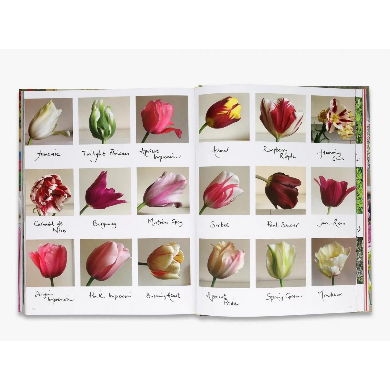 Thames & Hudson - The Land Gardeners Kitap