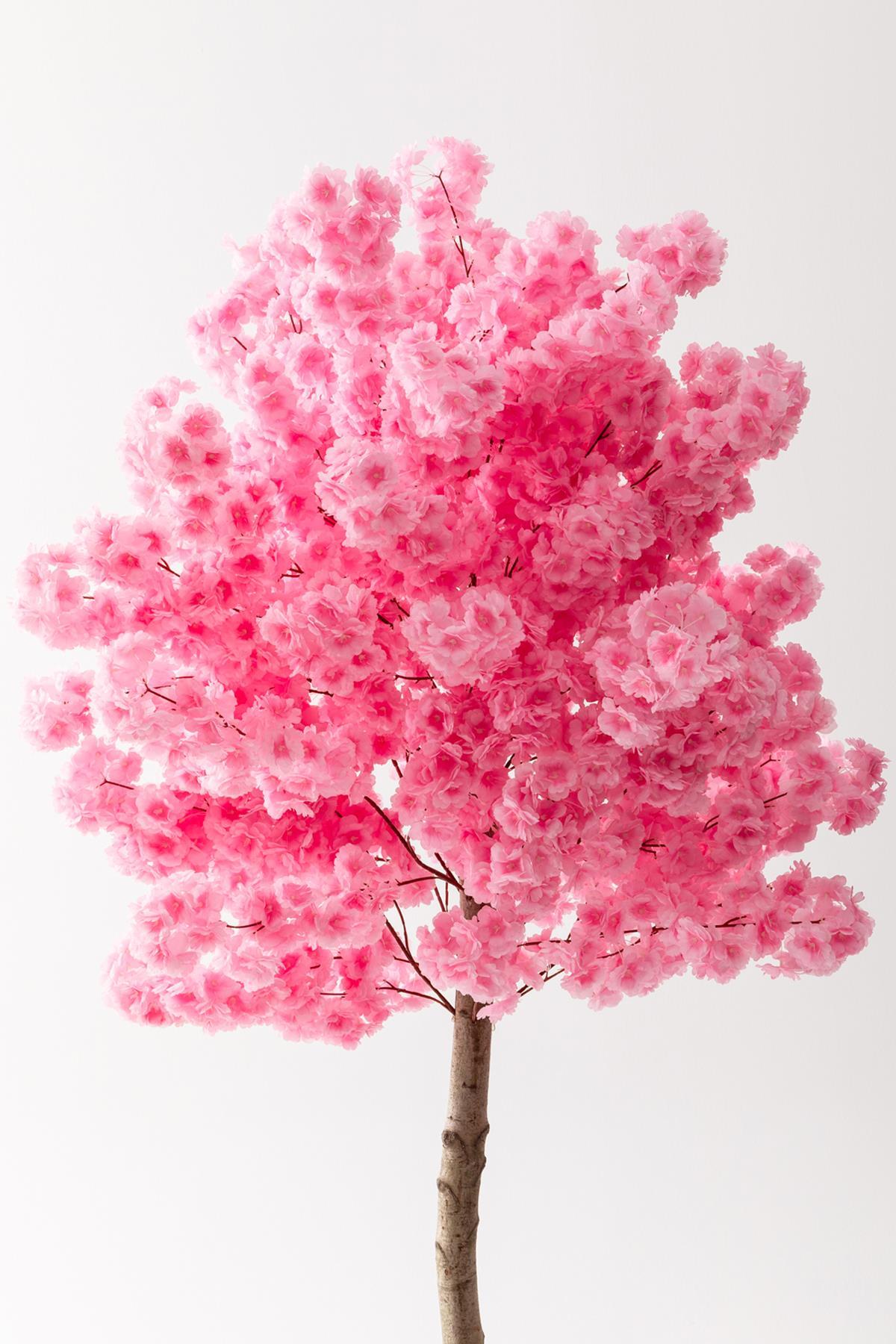 Pembe Yapay Ağaç Bahardalı 180 cm