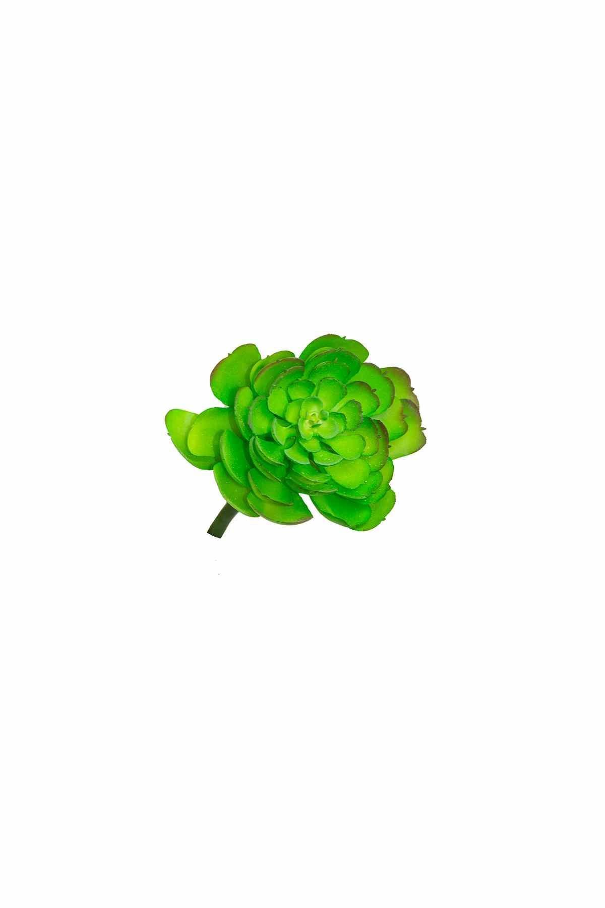 Yapay Sukulent (Succulent) Çiçeği Kaktüs Kırmızı Desenli