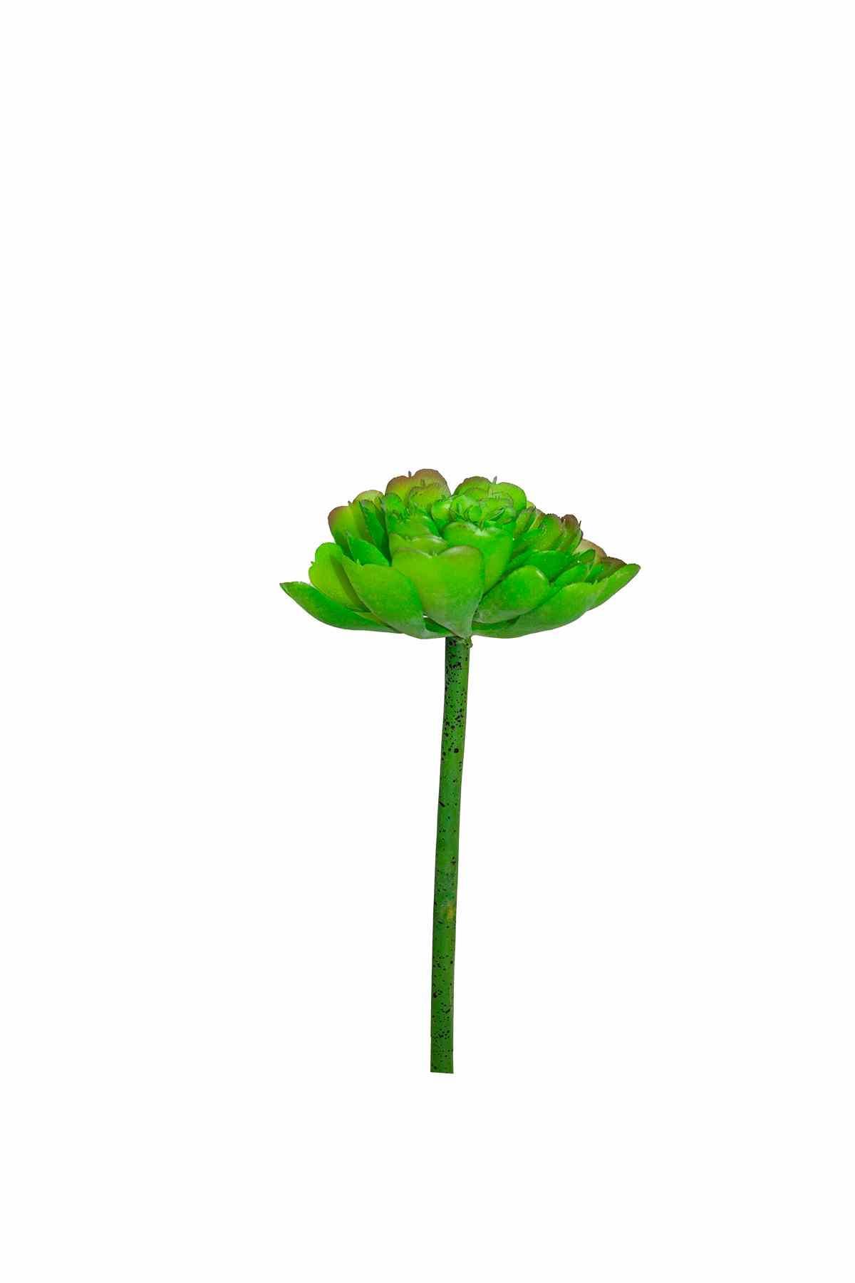 Yapay Sukulent (Succulent) Çiçeği Kaktüs Kırmızı Desenli