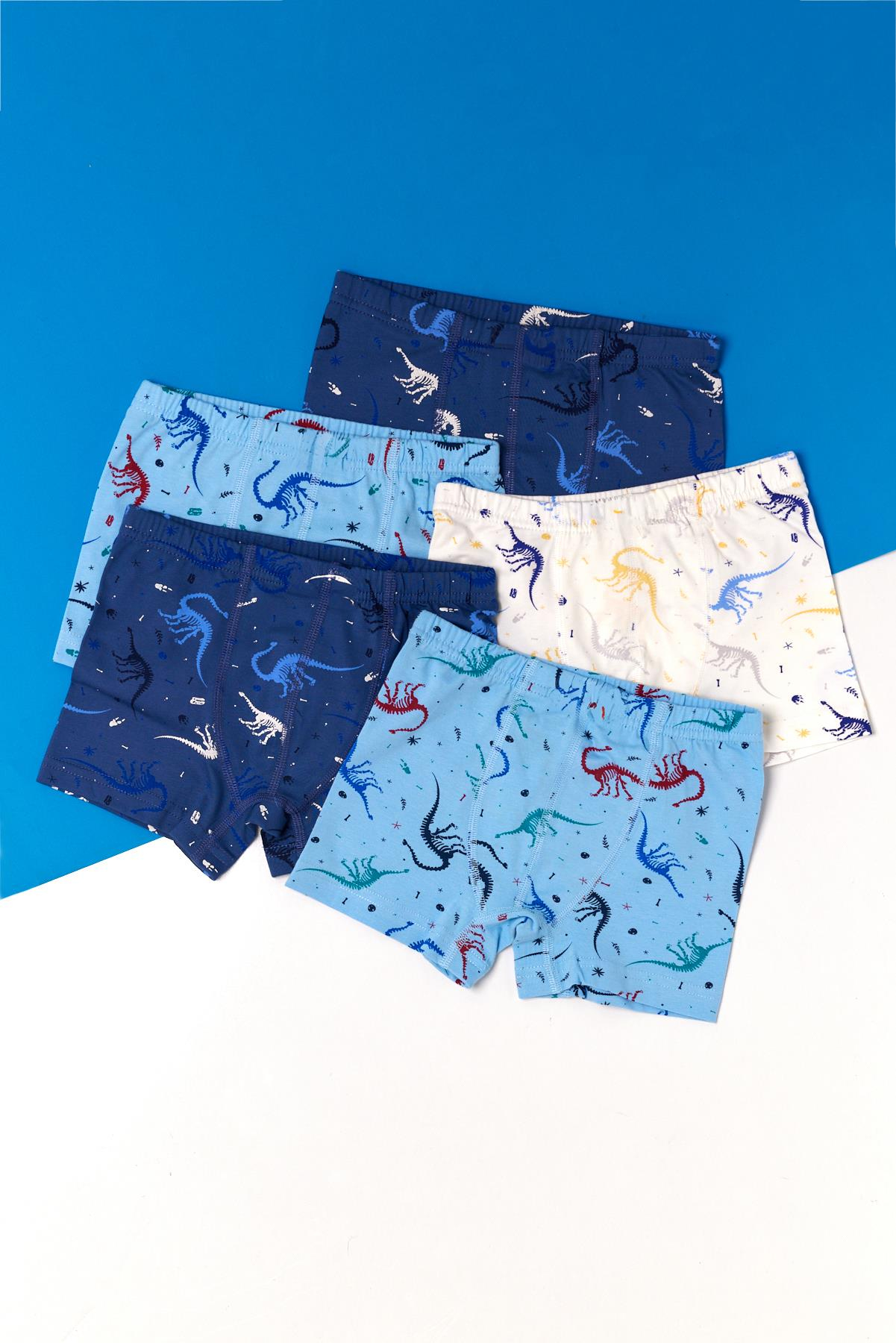 22403G4019 5PCK DİNAZOR BASKILI ÇOCUK BOXER ÇOK RENKLİ