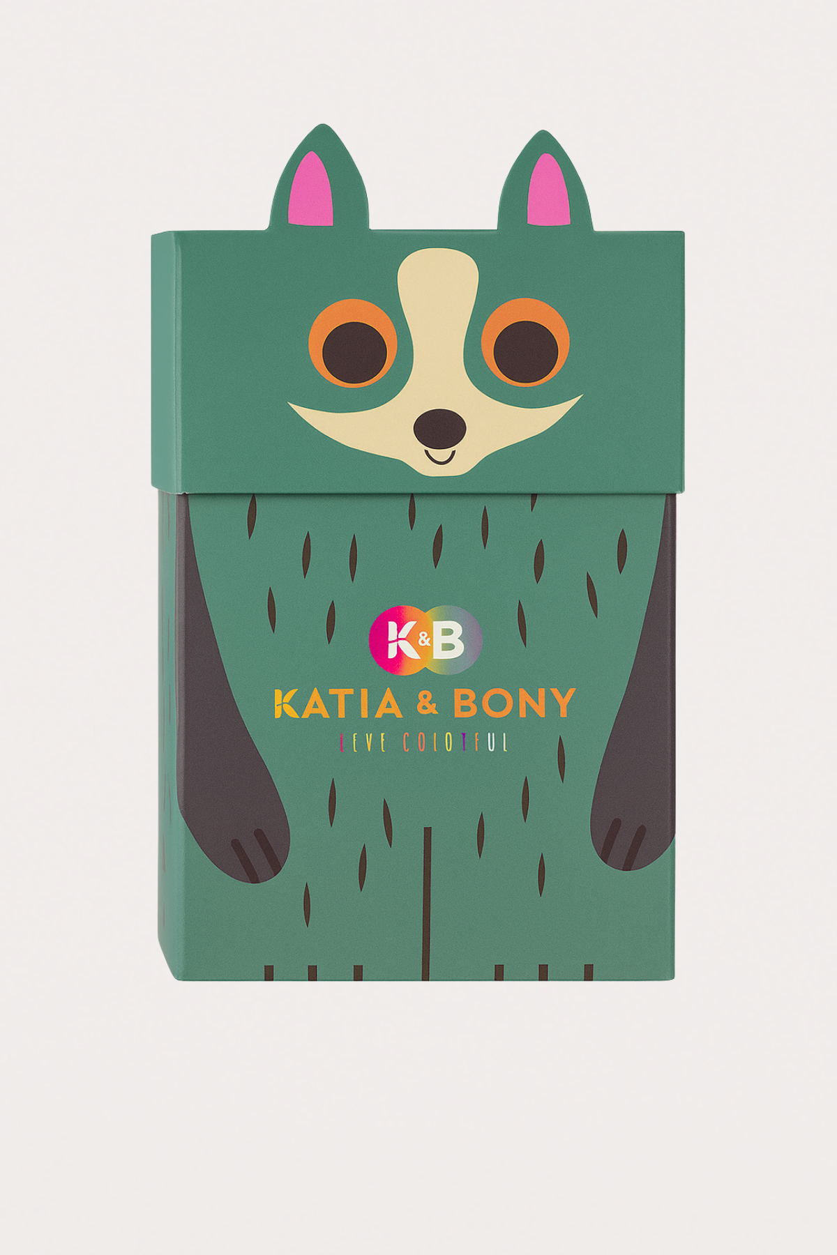 Erkek Çocuk Rakun Desenli 2li Kutulu Çorap 