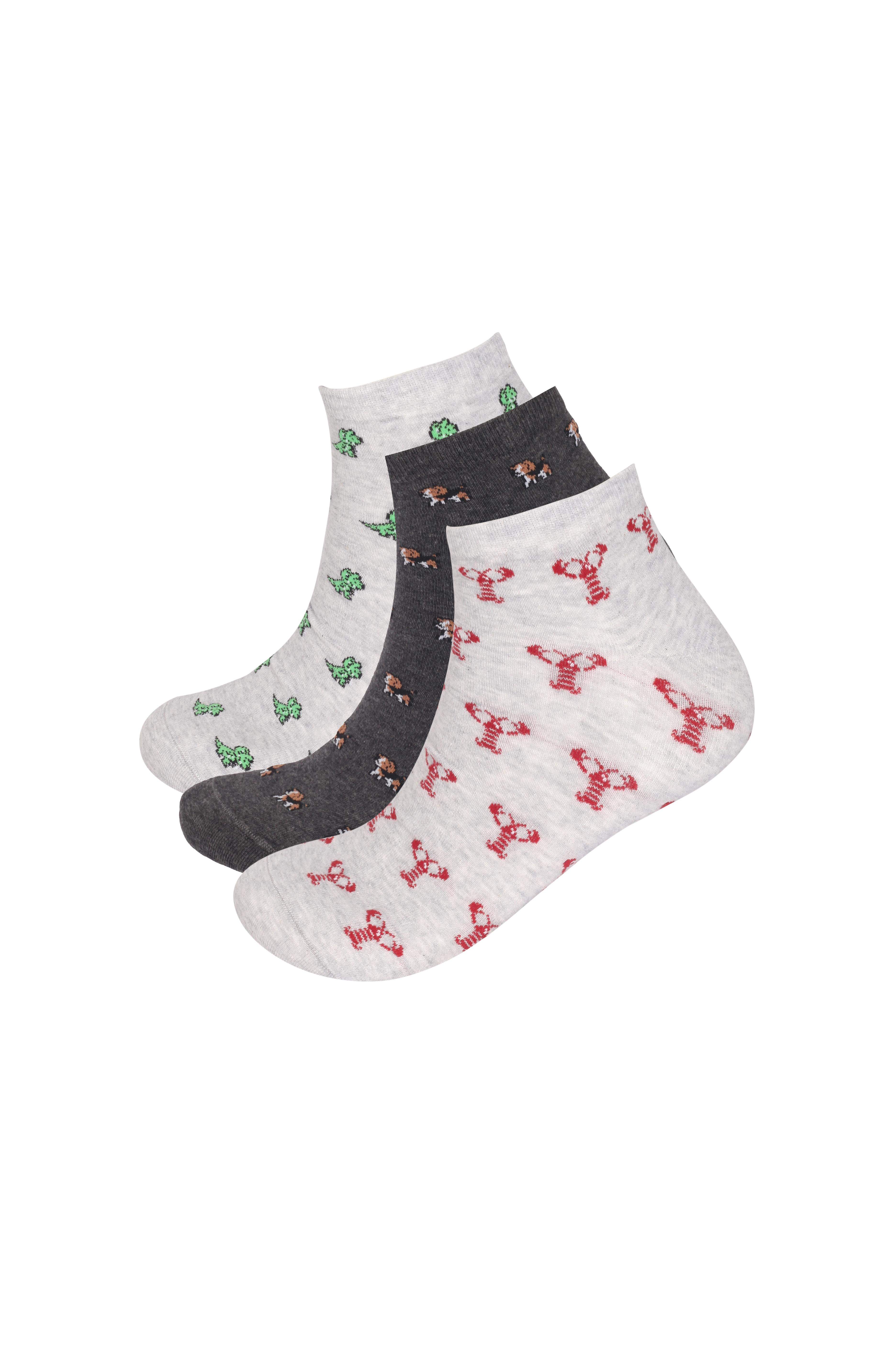 Erkek Hayvan Desenli 3lü Patik Çorap