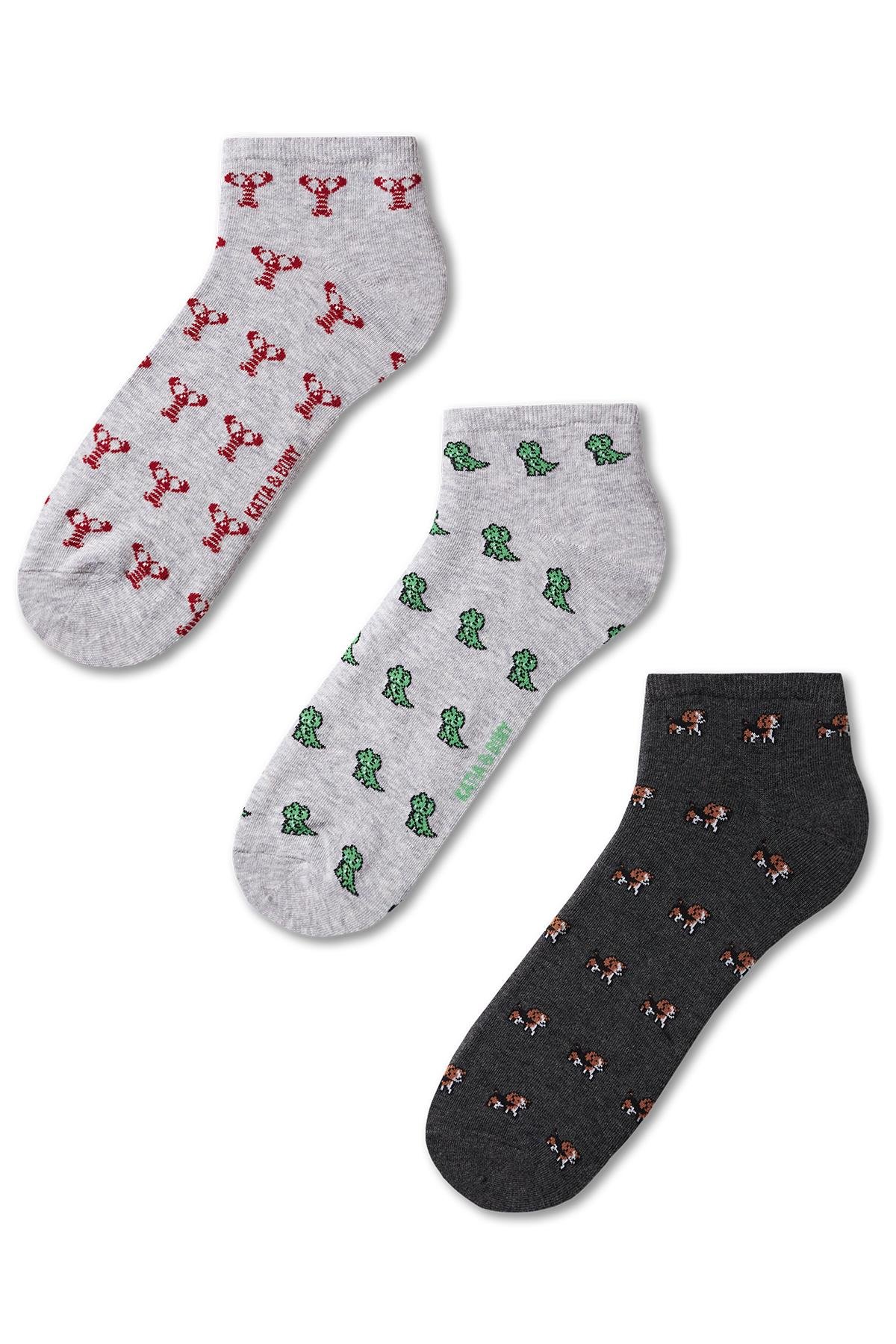 Erkek Hayvan Desenli 3lü Patik Çorap