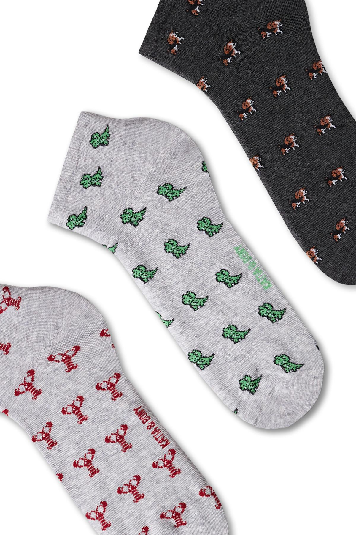 Erkek Hayvan Desenli 3lü Patik Çorap