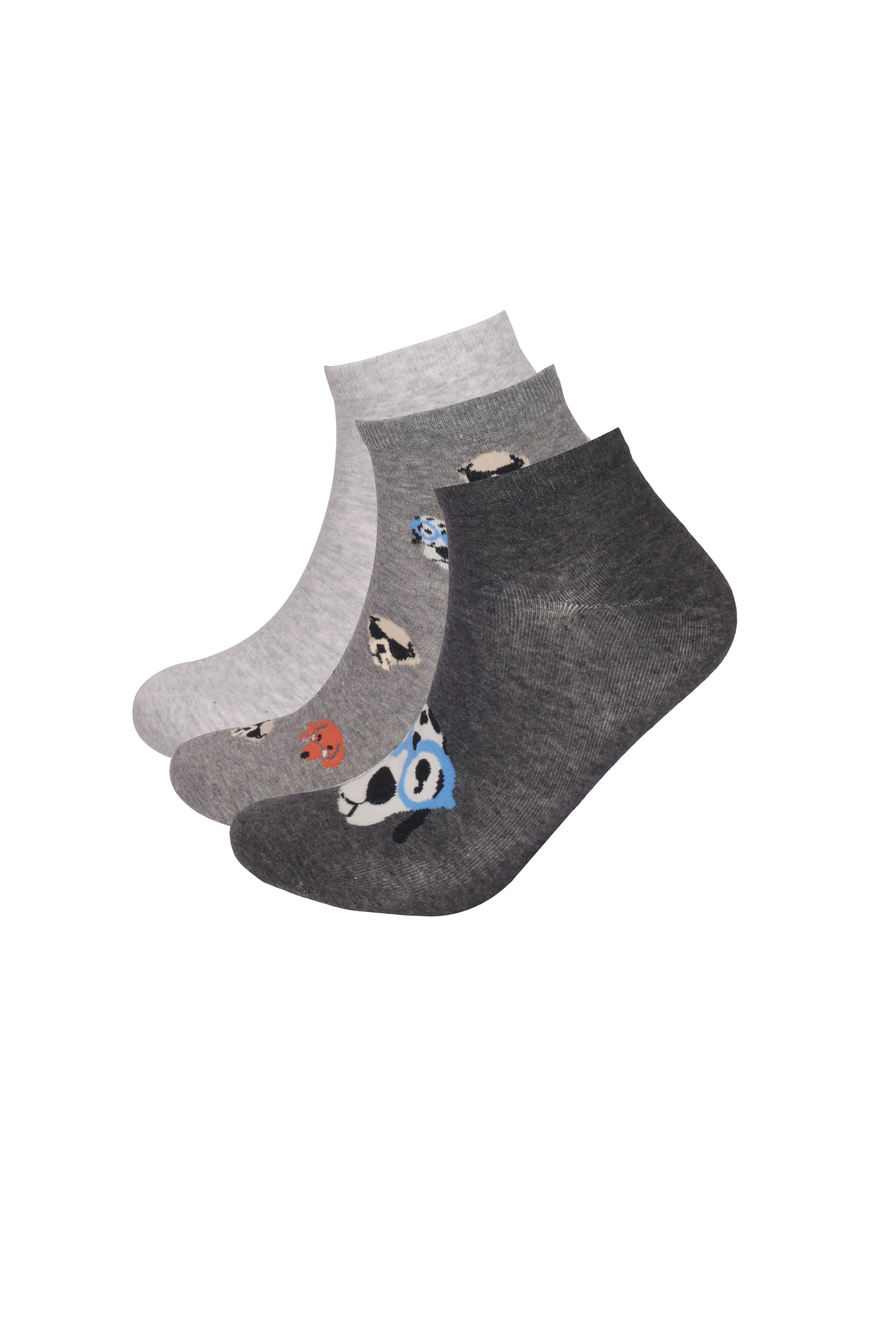 Erkek Köpek Desenli 3lü Patik Çorap