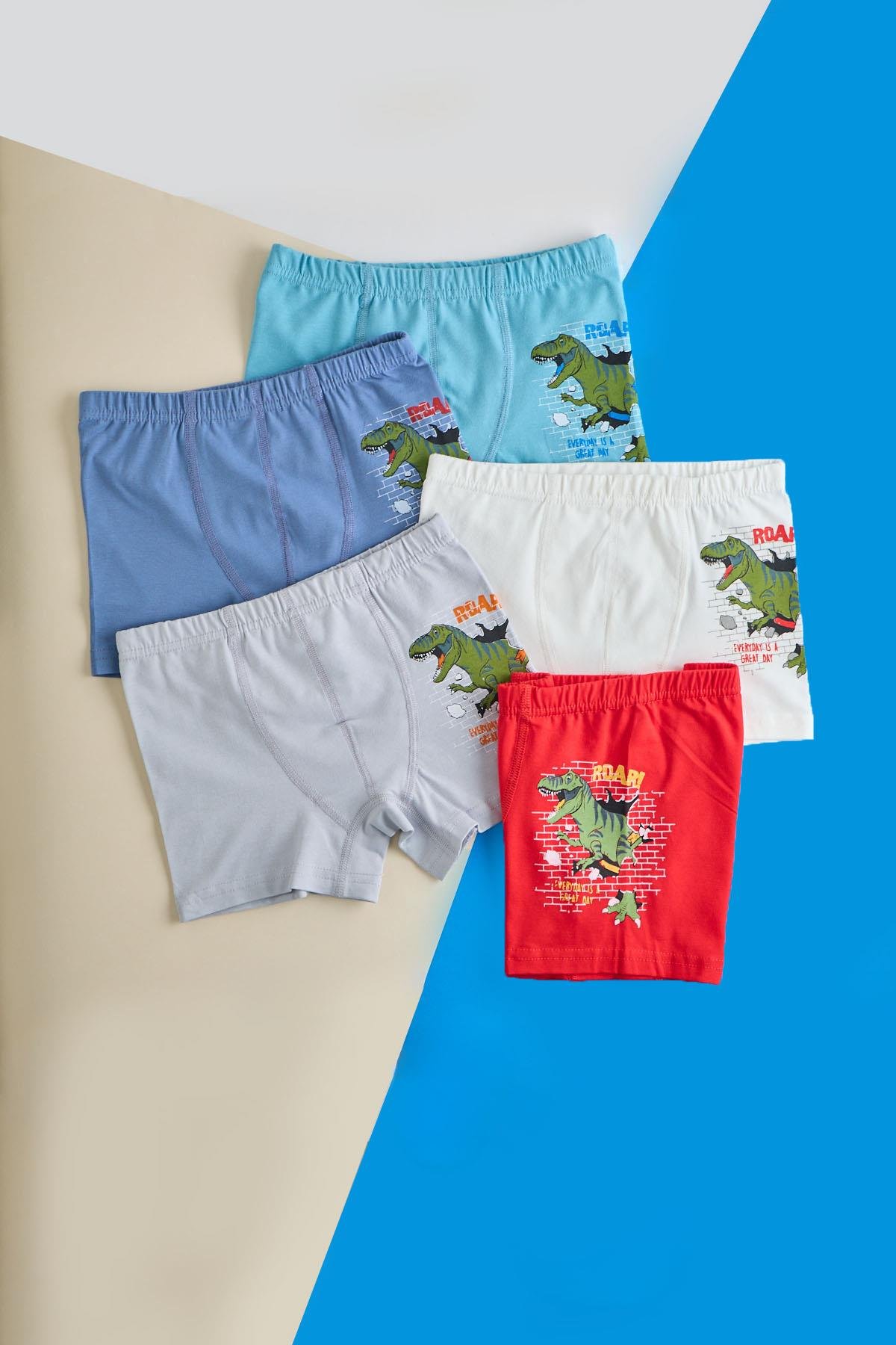 12401G2261 ERKEK ÇOCUK 5 Lİ PCK DİNAZOR BOXER ÇOK RENKLİ