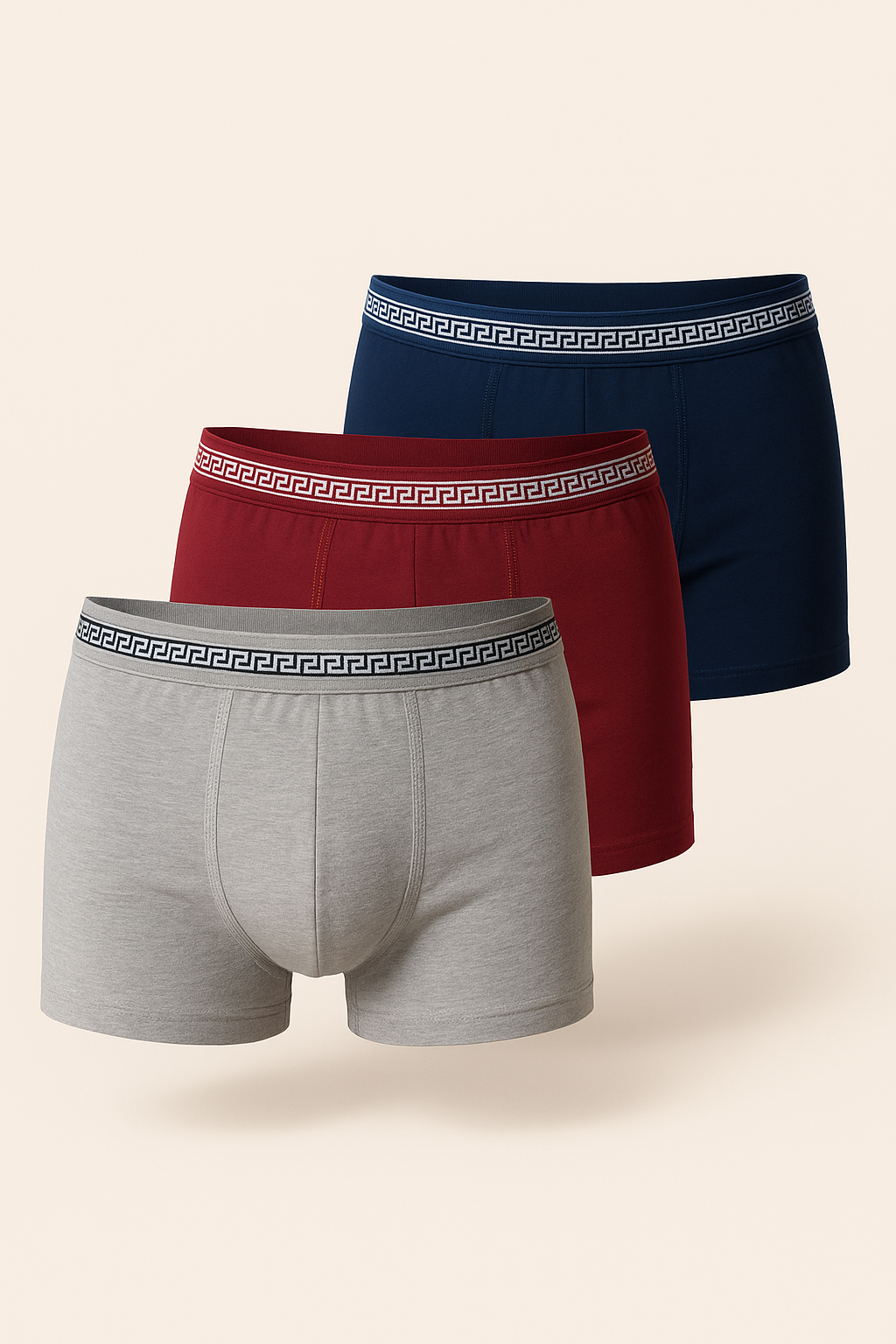 22503G4002 3PCK ERKEK BOXER 3104