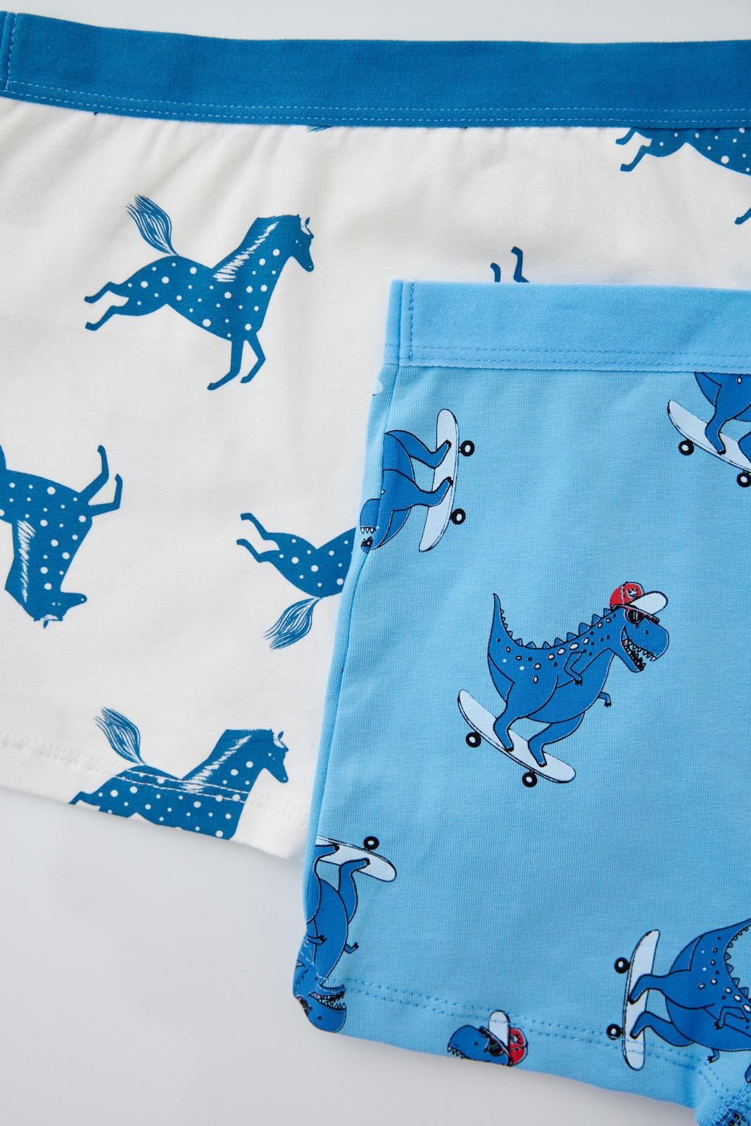 2'li Paket Dino Erkek Çocuk Boxer MAVİ/Ekru