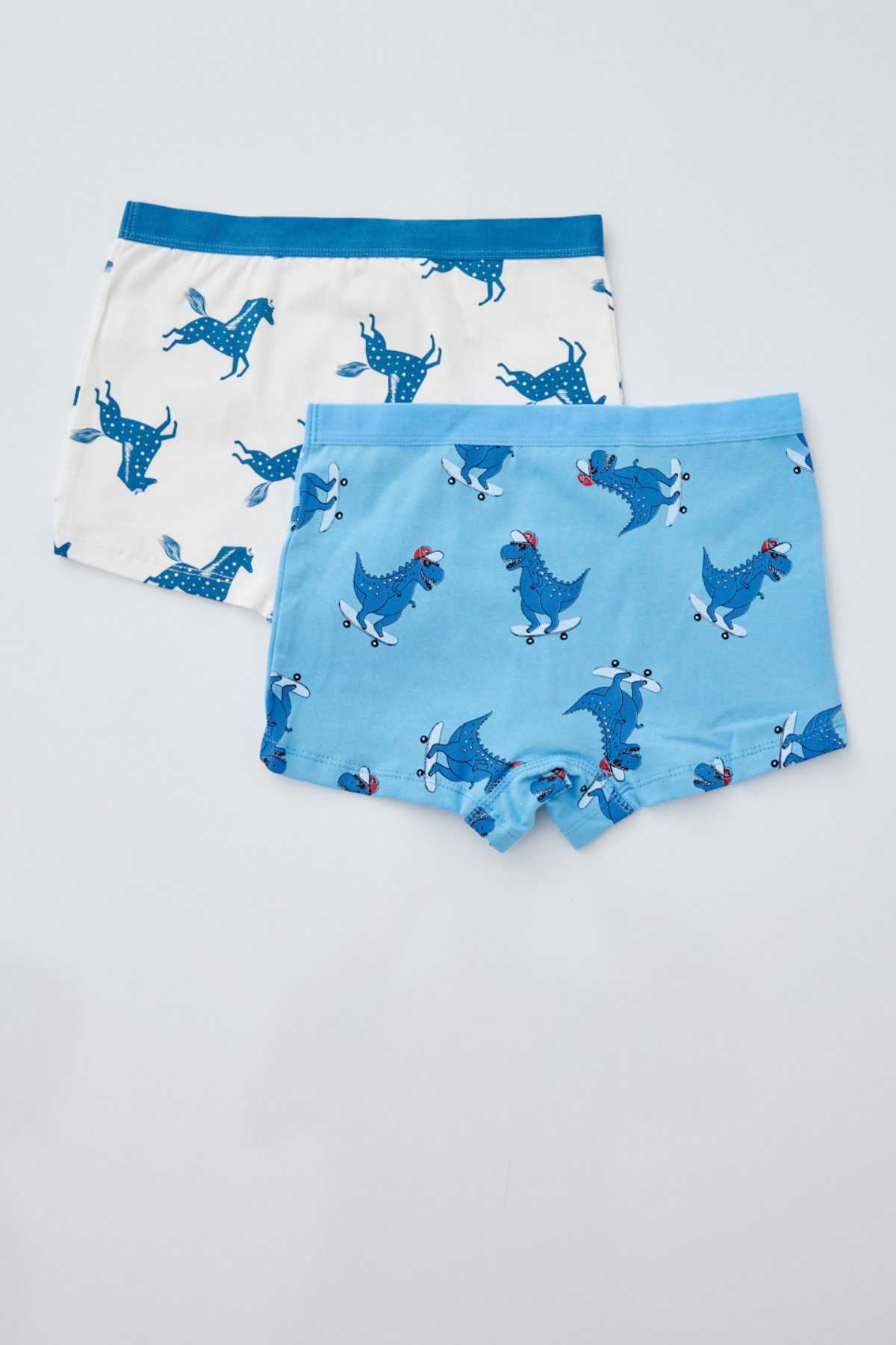 2'li Paket Dino Erkek Çocuk Boxer MAVİ/Ekru