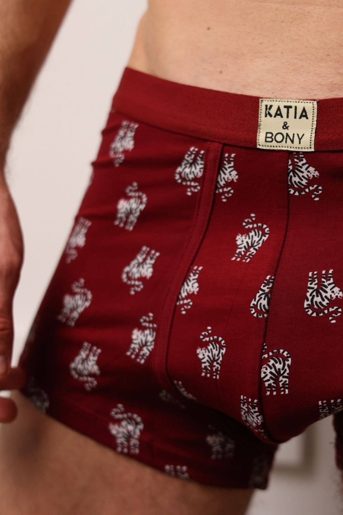 2'Li Paket Kedi Desenli Erkek Boxer-BORDO/Lacivert
