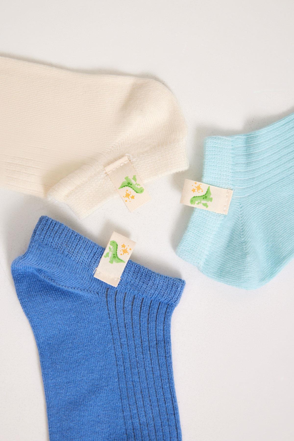 3'lü Paket Summer Love Erkek Çocuk Step Çorap