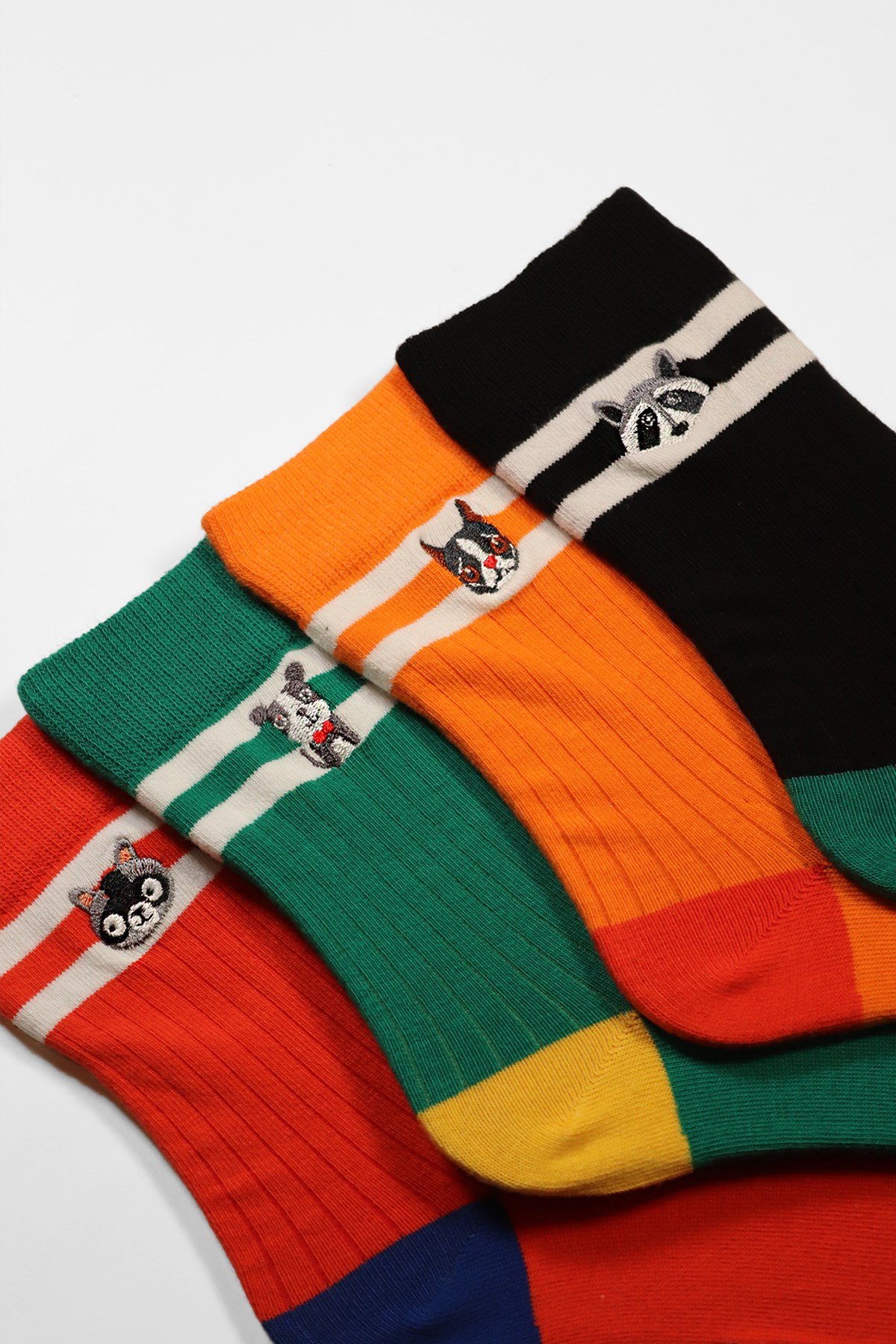 4'lü Paket Animals Box Unisex Art Soket Çorap