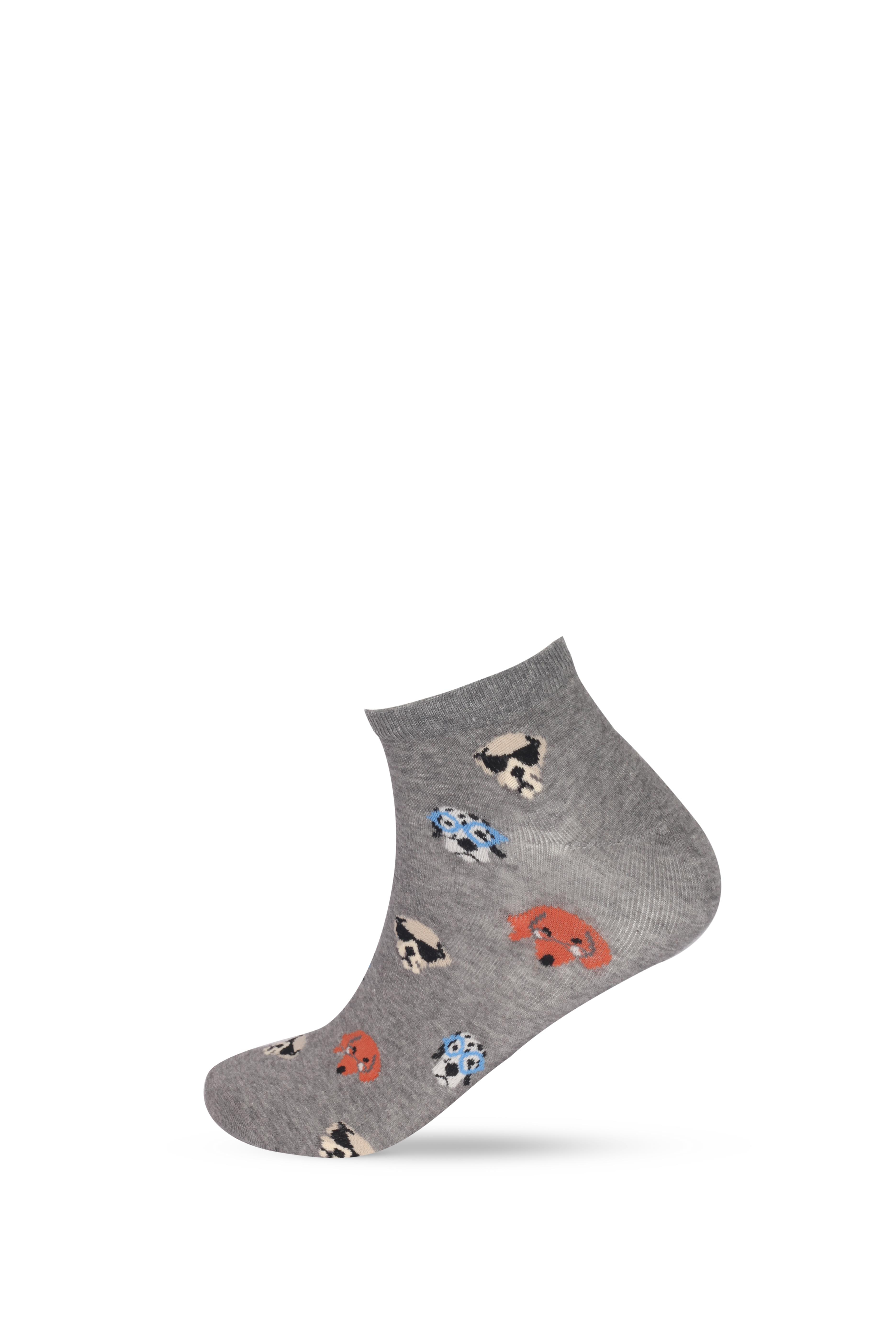 Erkek Köpek Desenli 3'lü Patik Çorap