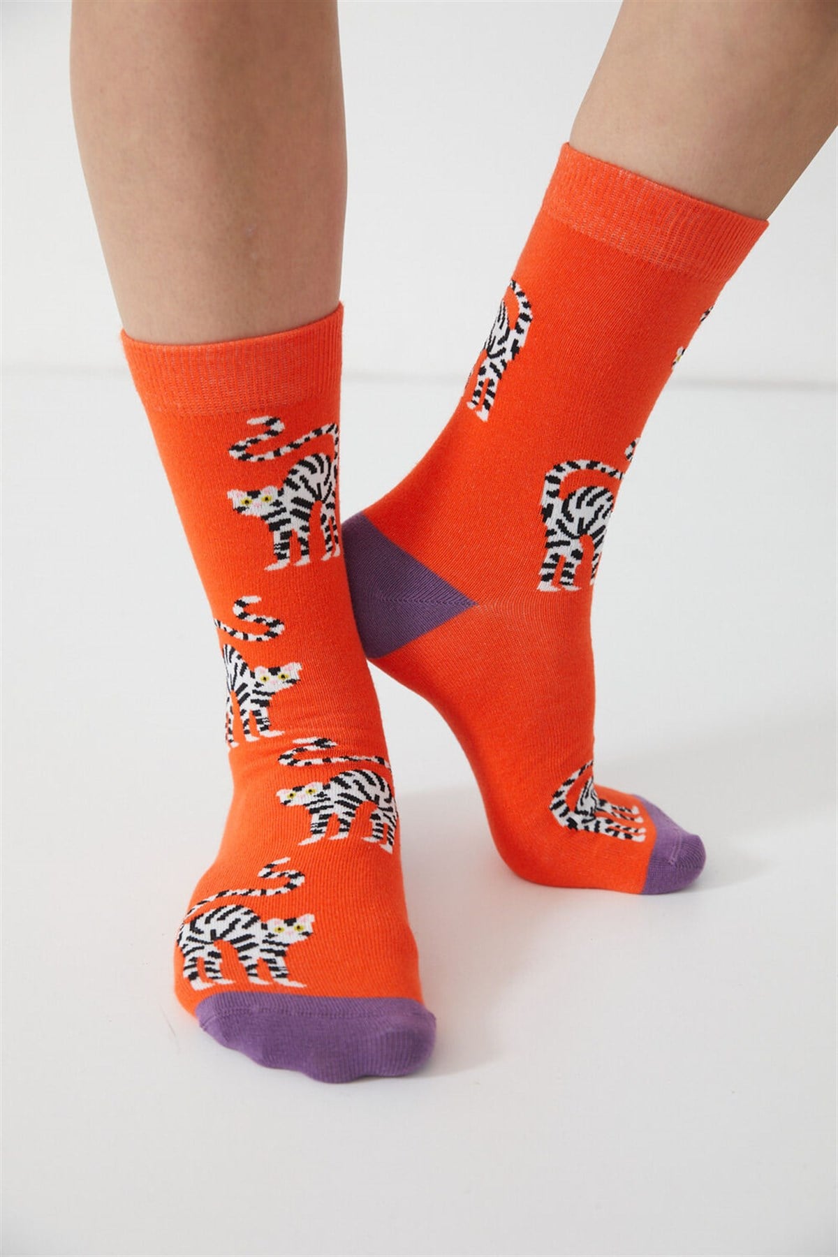Strıped Cat Unisex Soket Çorap-CORAL