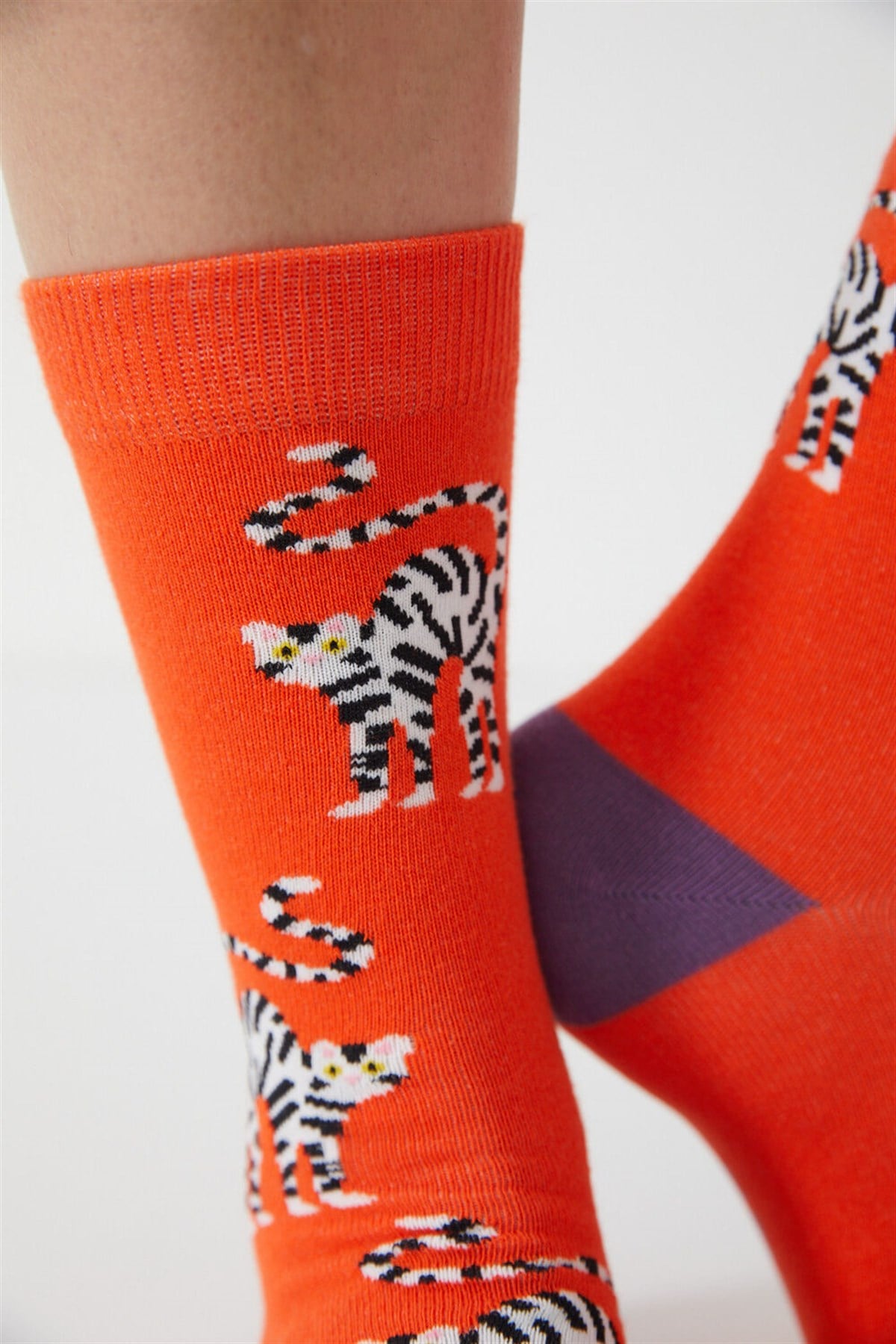 Strıped Cat Unisex Soket Çorap-CORAL