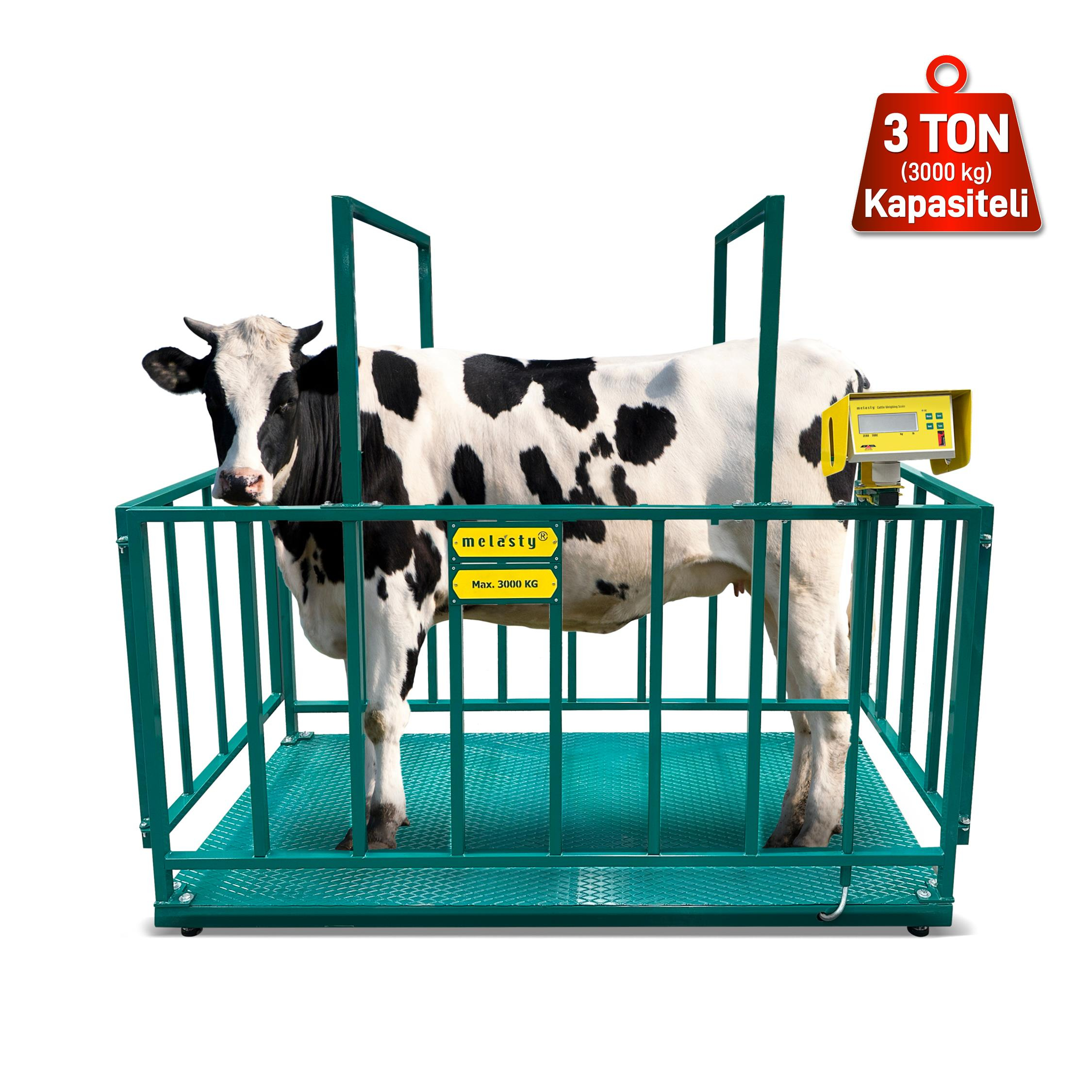 Melasty Büyükbaş Hayvan Baskülü (3000kg)