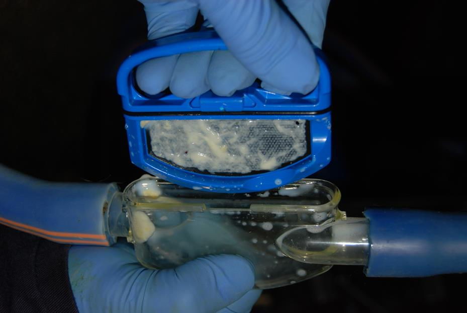 Melasty Mastitis Dedektörü | Cimritilki.com