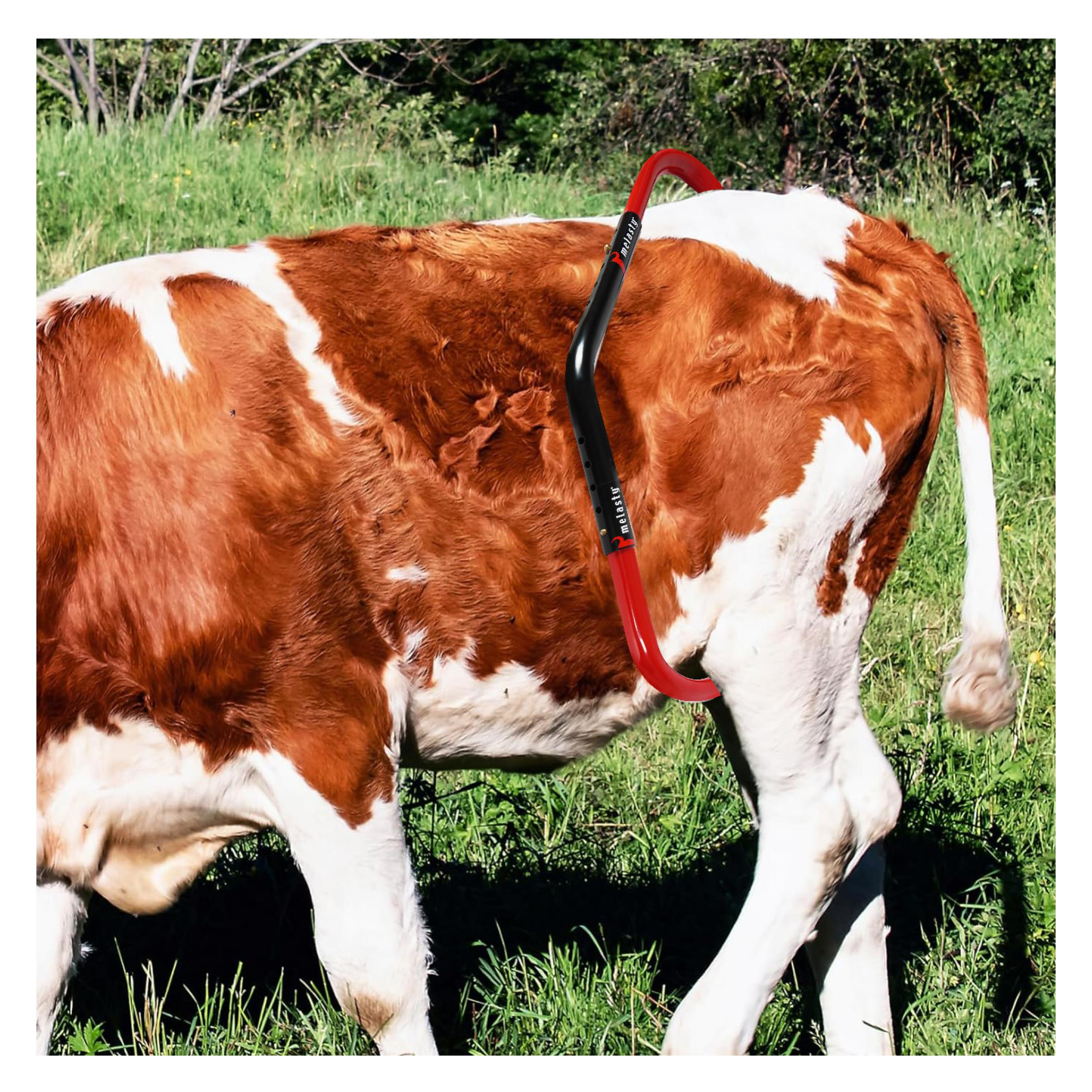 Melasty Tekmesavar | Cimritilki.com