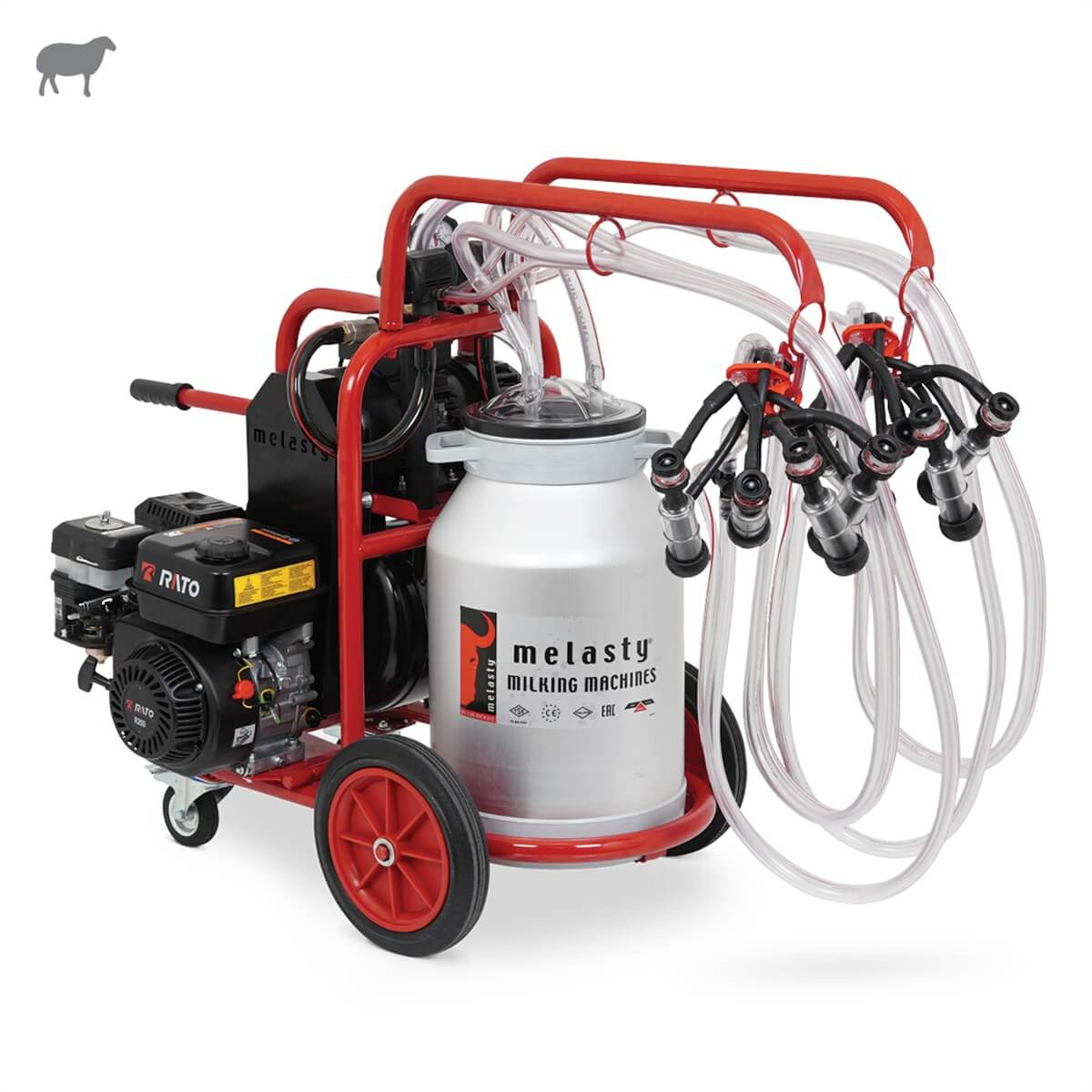 MelastyTDYKY4-AK YGE