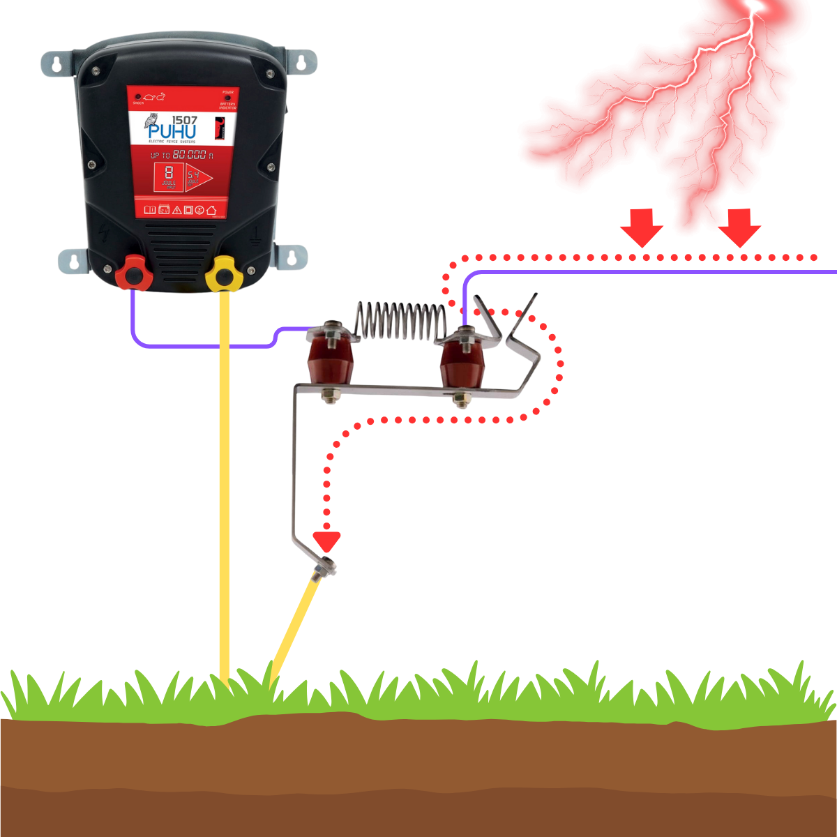 Puhu Yıldırımsavar | Cimritilki.com