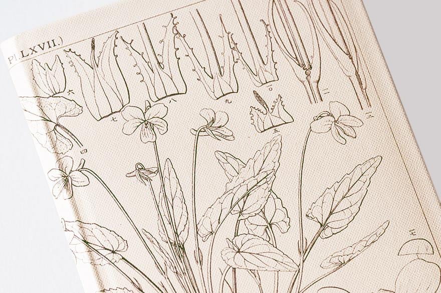 Hobonichi Weeks Japanese Version 2024 Jan. Start Tomitaro Makino/Shihai Sumire