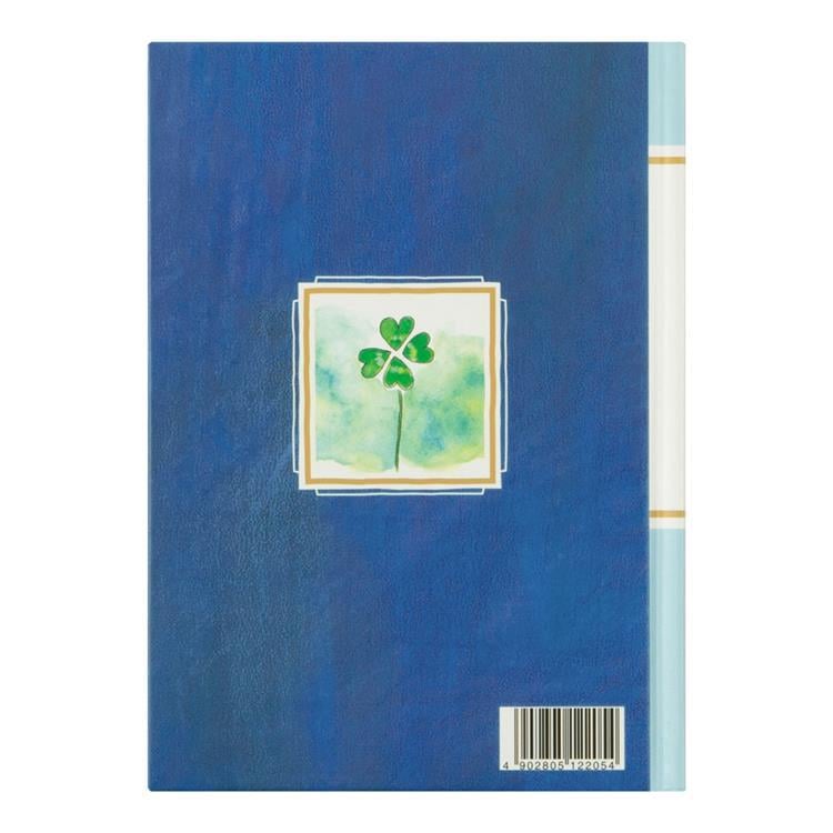 Midori Limited Edition Diary A5 Shooting Star Günlük