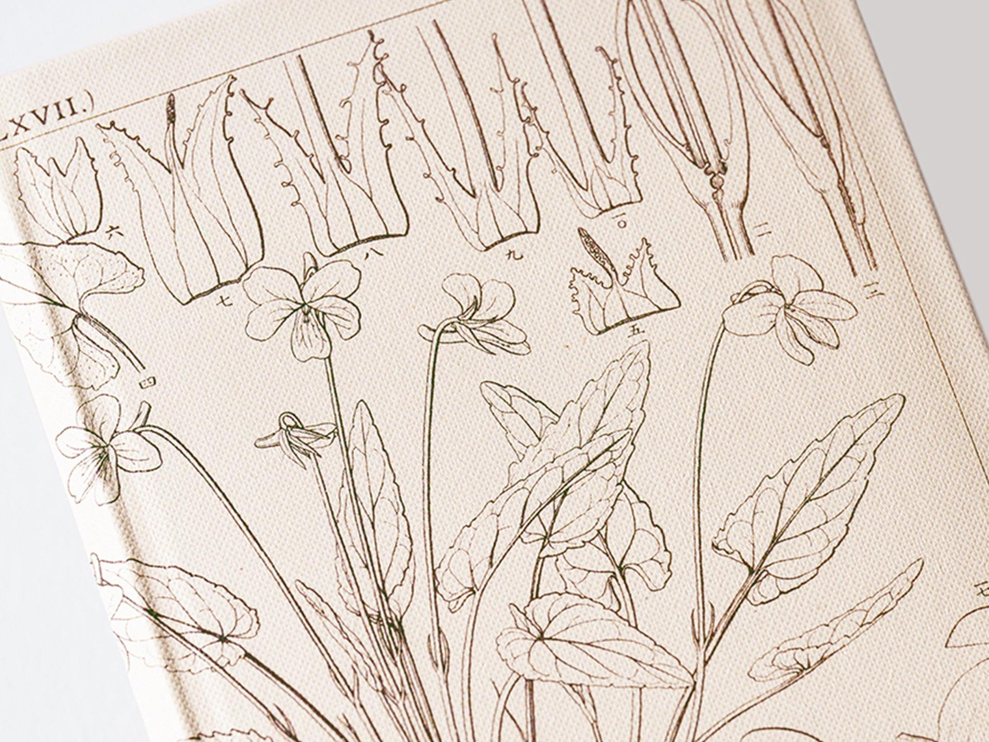 Hobonichi Weeks Japanese Version 2024 Jan. Start Tomitaro Makini Shihai Summer