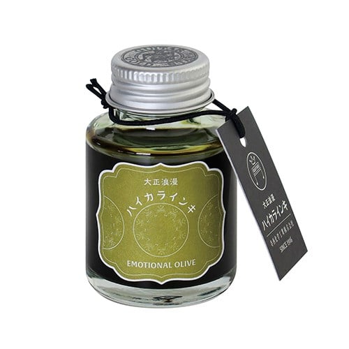 Teranishi Guitar Şişe Mürekkep 40 ml Emotional Olive