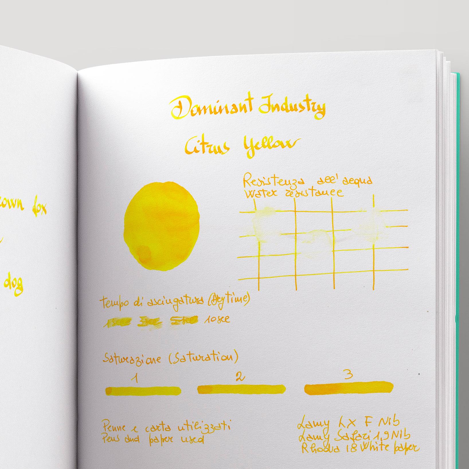 Dominant Industry Standard Şişe Mürekkep Citrus Yellow