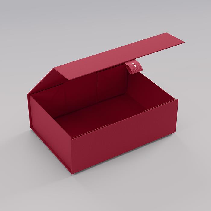 Semikolon 4Rooms Box, XSmall, Burgundy