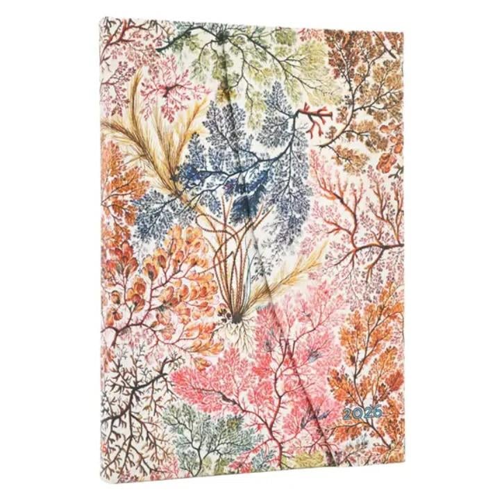 Paperblanks 2026 English Diary  12 Aylık Sert Kapak  Anemone Midi Hor Ajanda