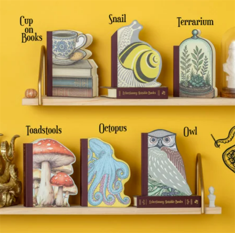 IF Eclectionery Notable Books Owl Notluk 38612